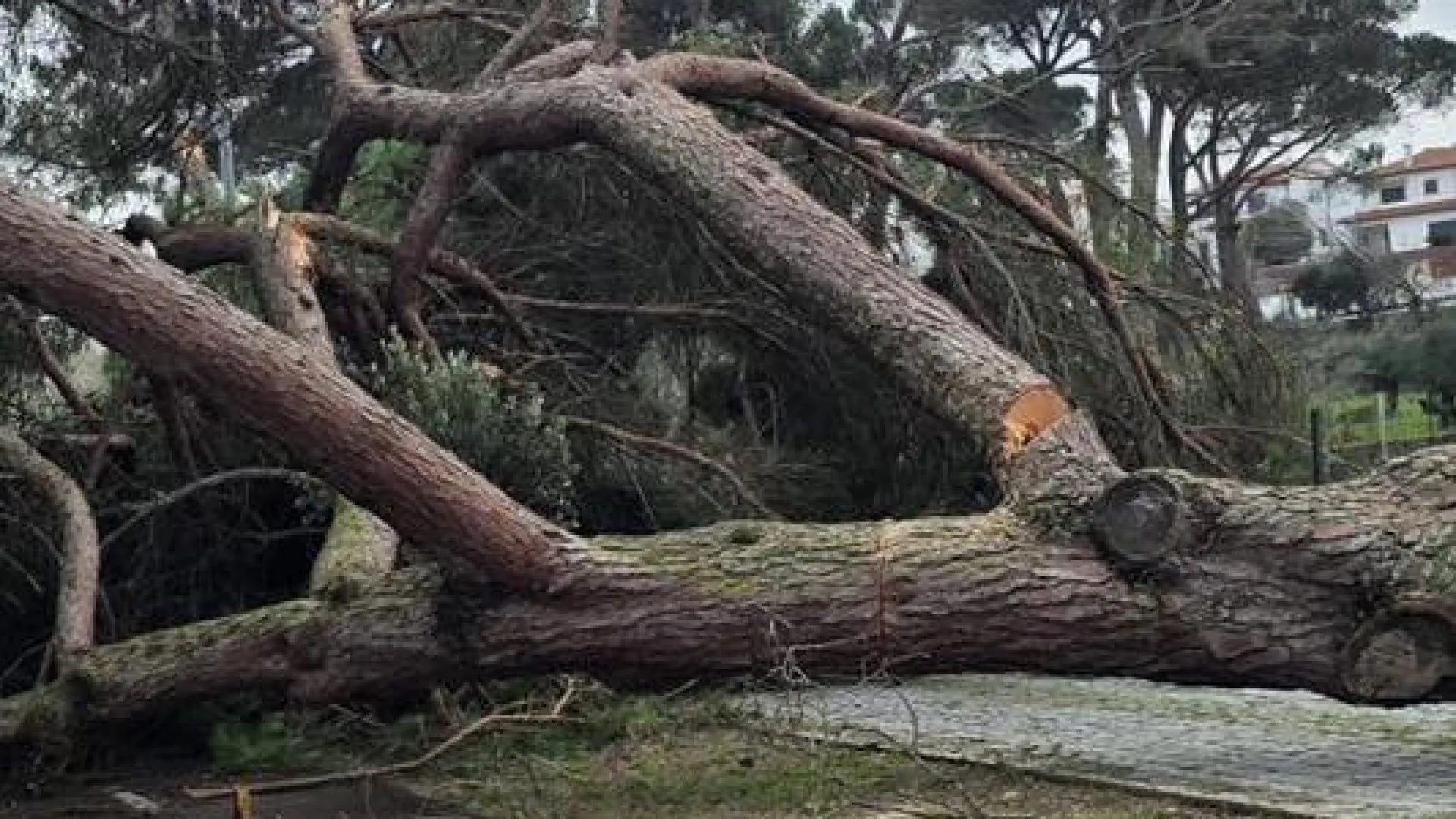 Noite tranquila em Ovar onde mercado está disponível para estacionamento