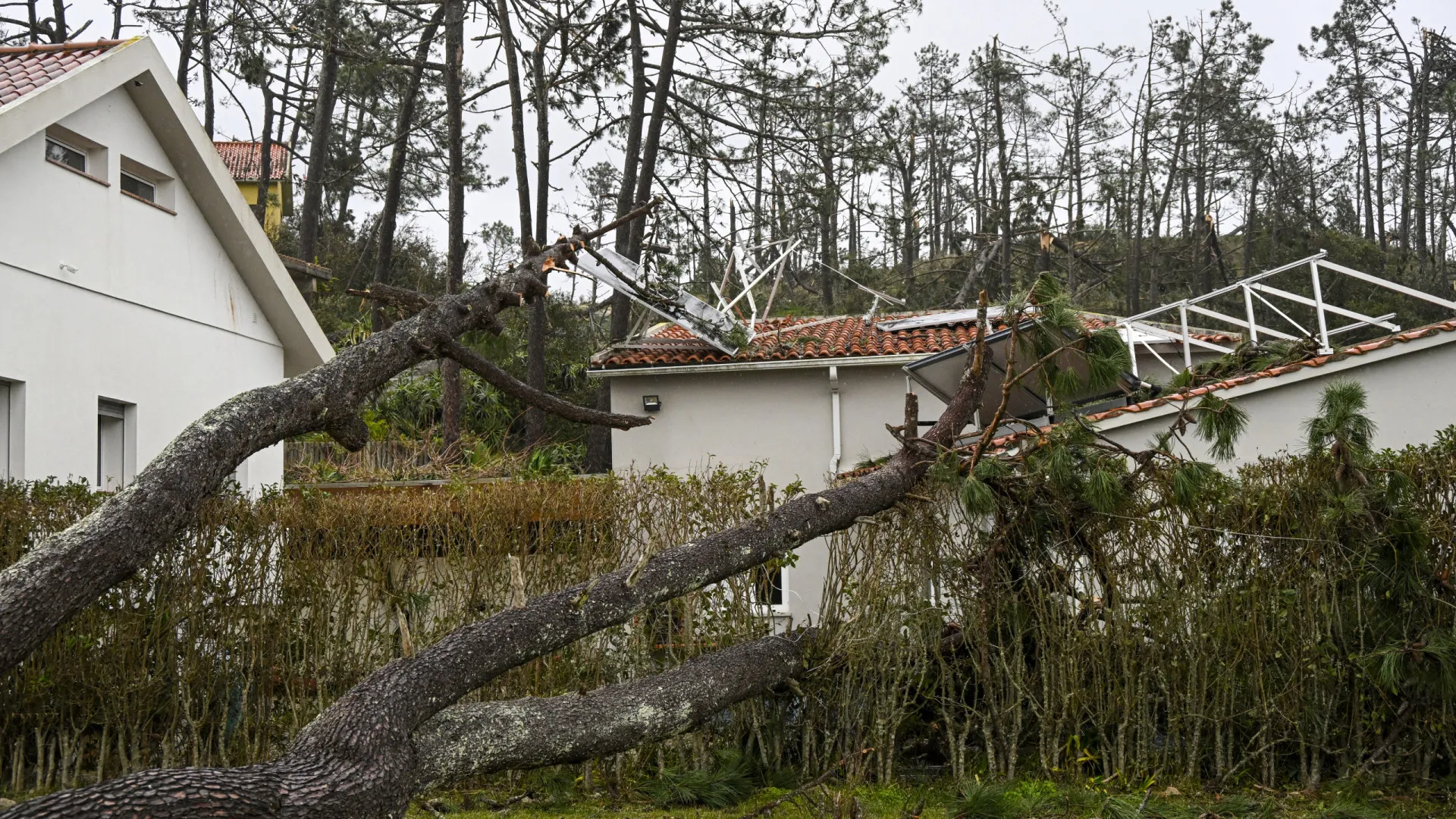 
                    Centenas de voluntários esperados na ação 