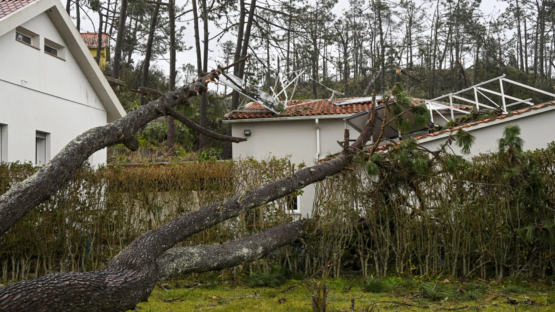
                    Autarca: Prejuízos na Golegã são 