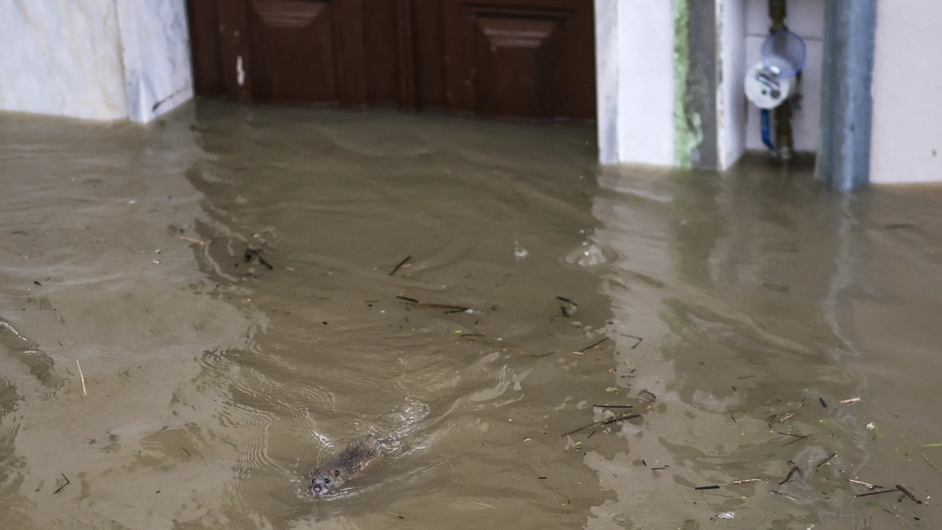 
                    Câmara de Beja retira 34 pessoas em evacuação preventiva de prédios
                