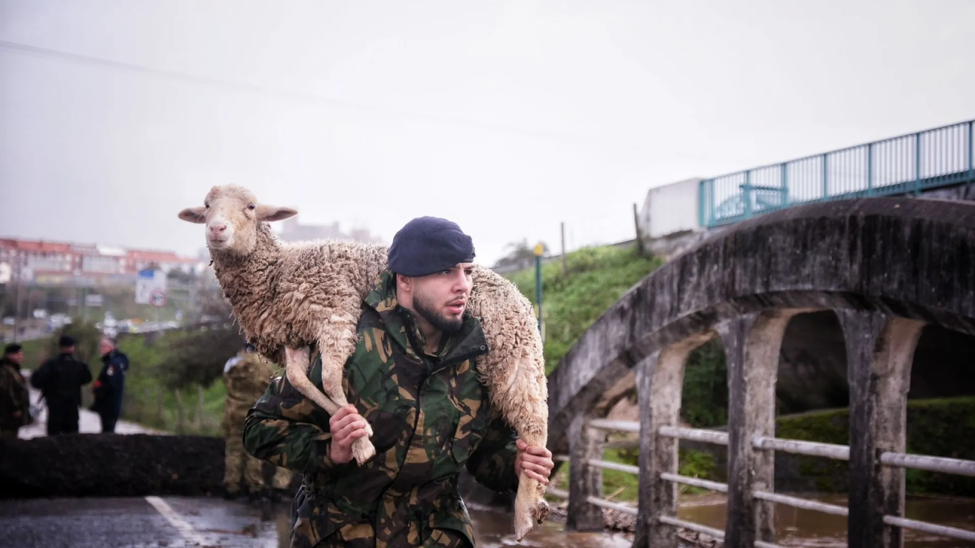 
                    AO MINUTO: Douro transbordou de madrugada; Cheias e resgates na Azambuja
                