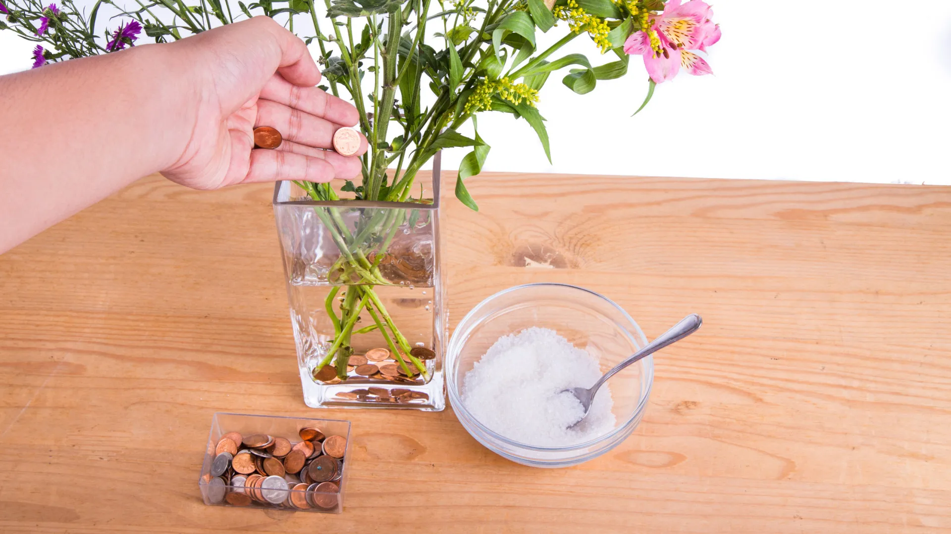 
                    Moedas nos jarros das flores para dar sorte? Esta dica vai além disso
                