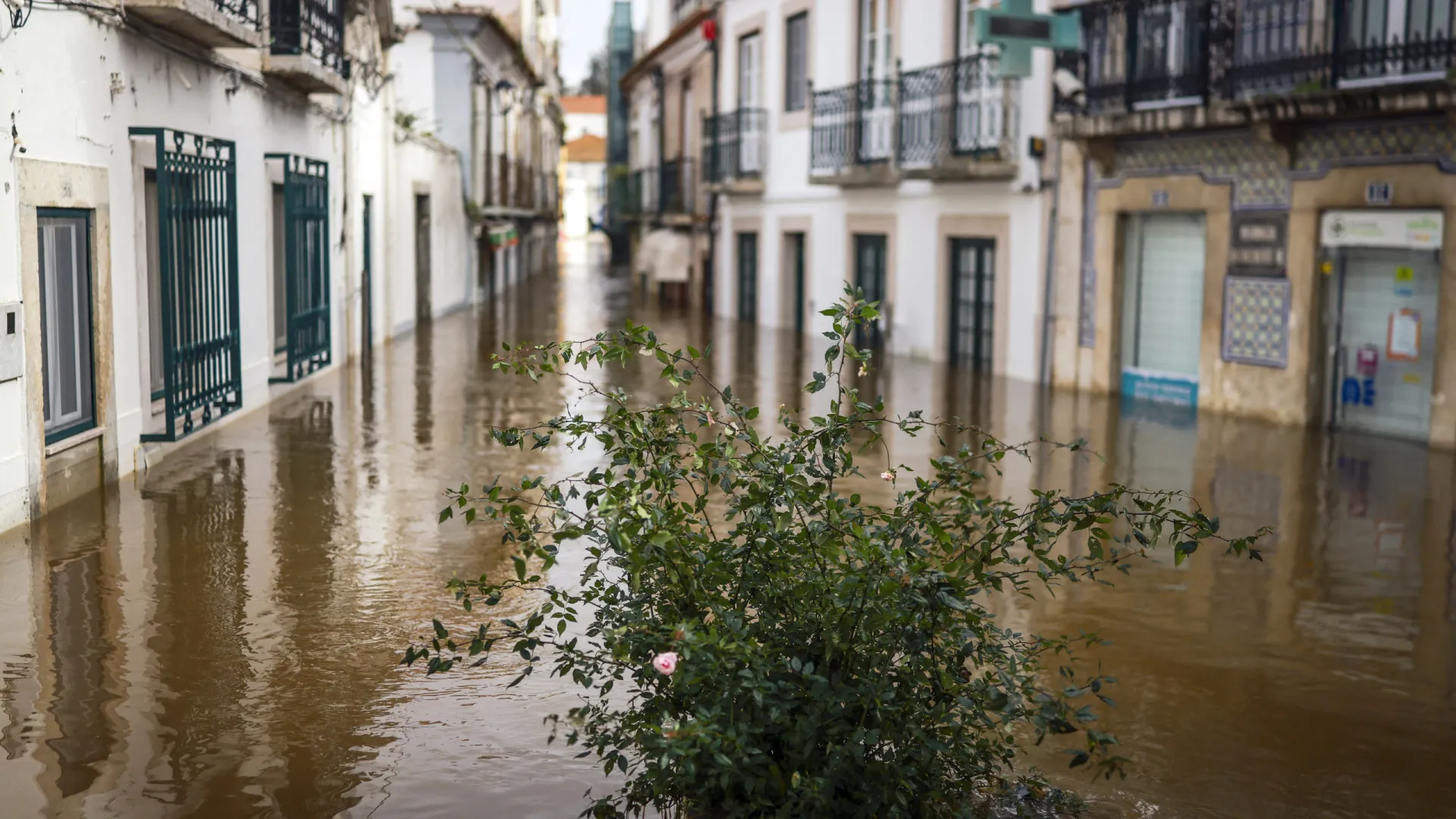 
                    Vários rios em alerta máximo de inundação devido à pressão hidrológica
                