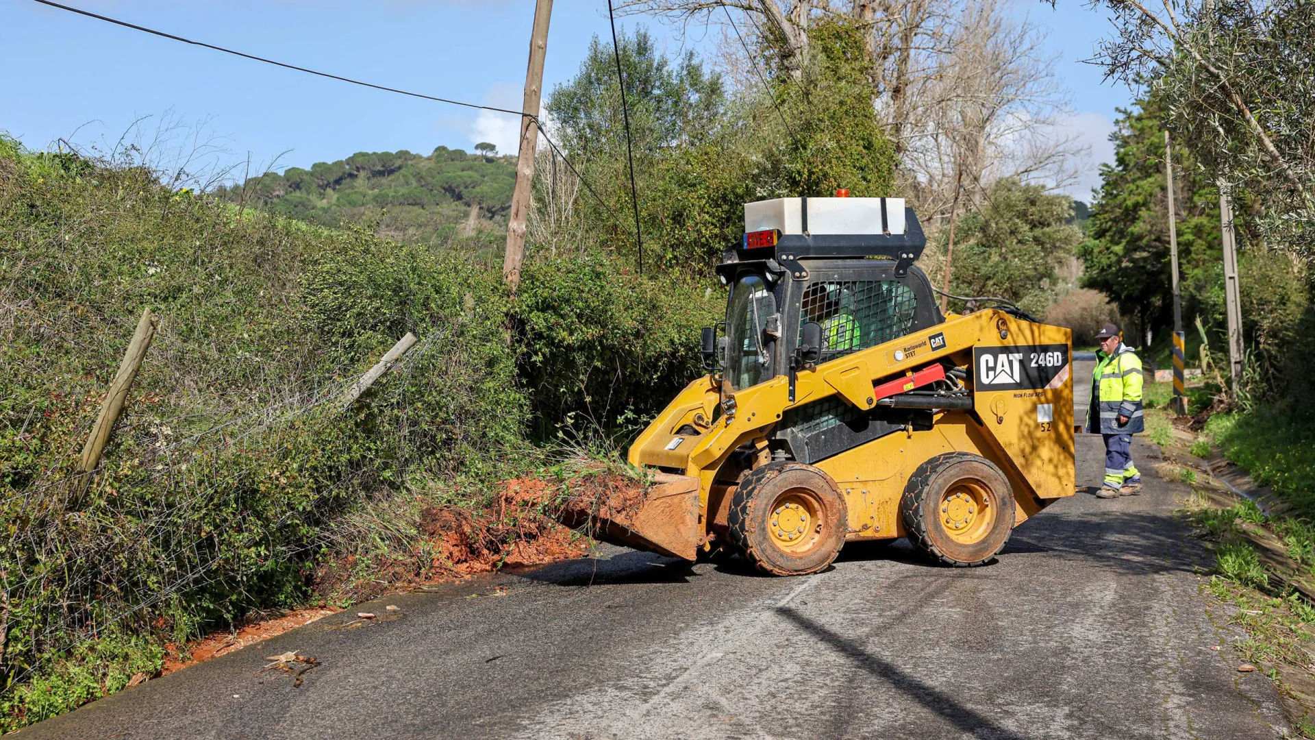 
                    Setúbal registou 850 ocorrências e tem 200 árvores em risco de cair
                