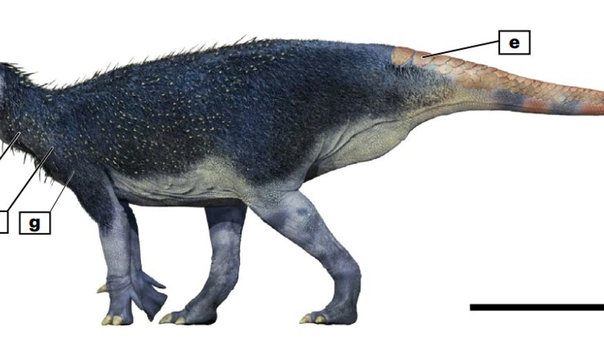 
                    Dinossauro com 125 milhões de anos descoberto na China
                