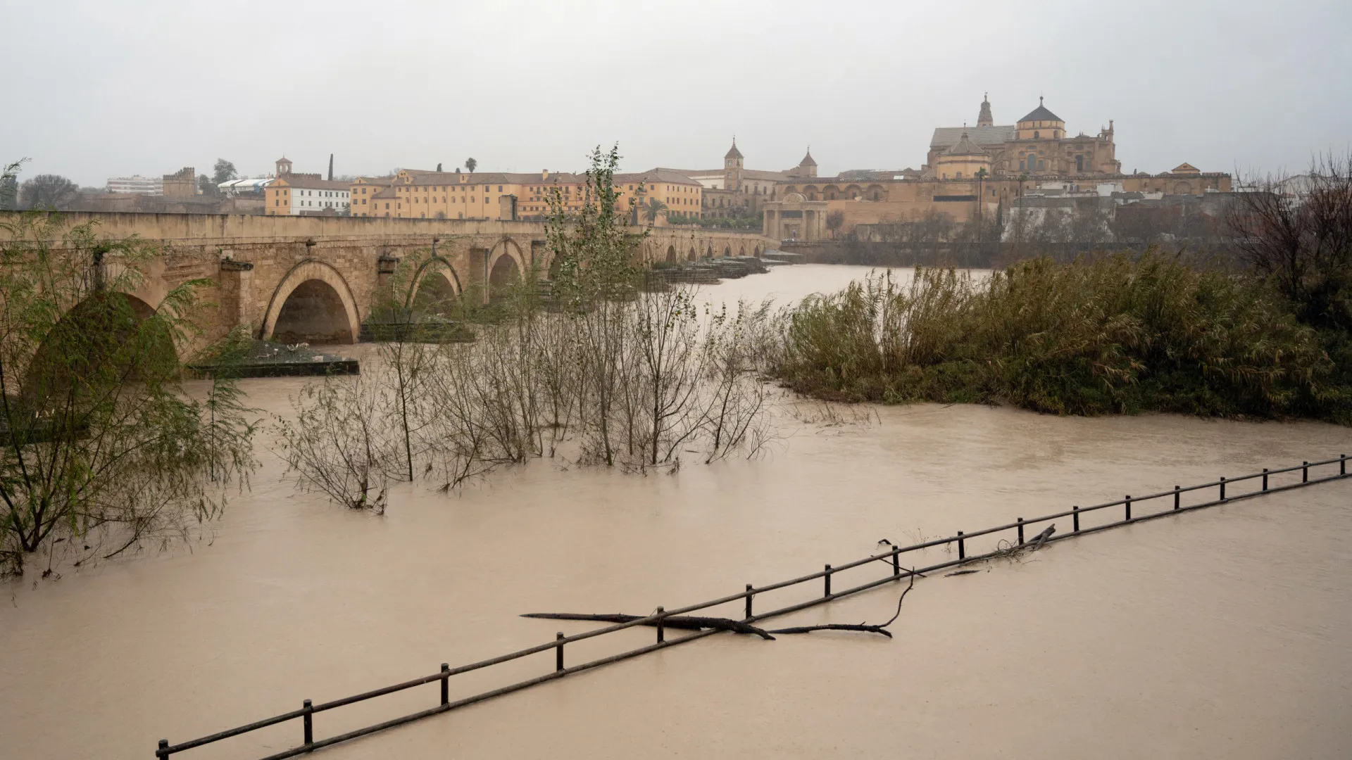 
                    Chuvas fortes causam prejuízos multimilionários na Andaluzia
                
