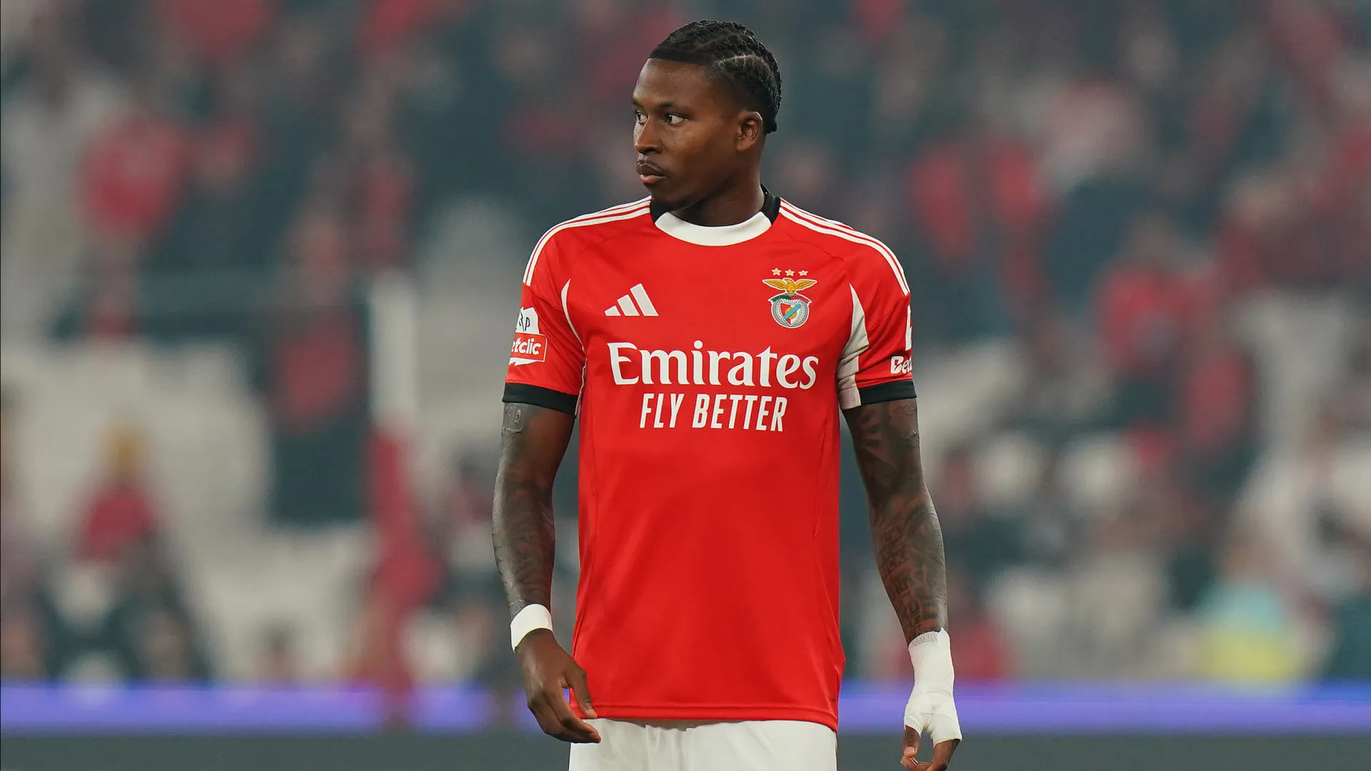 
                    Sidny Cabral teve proposta do Sporting antes do Benfica: 