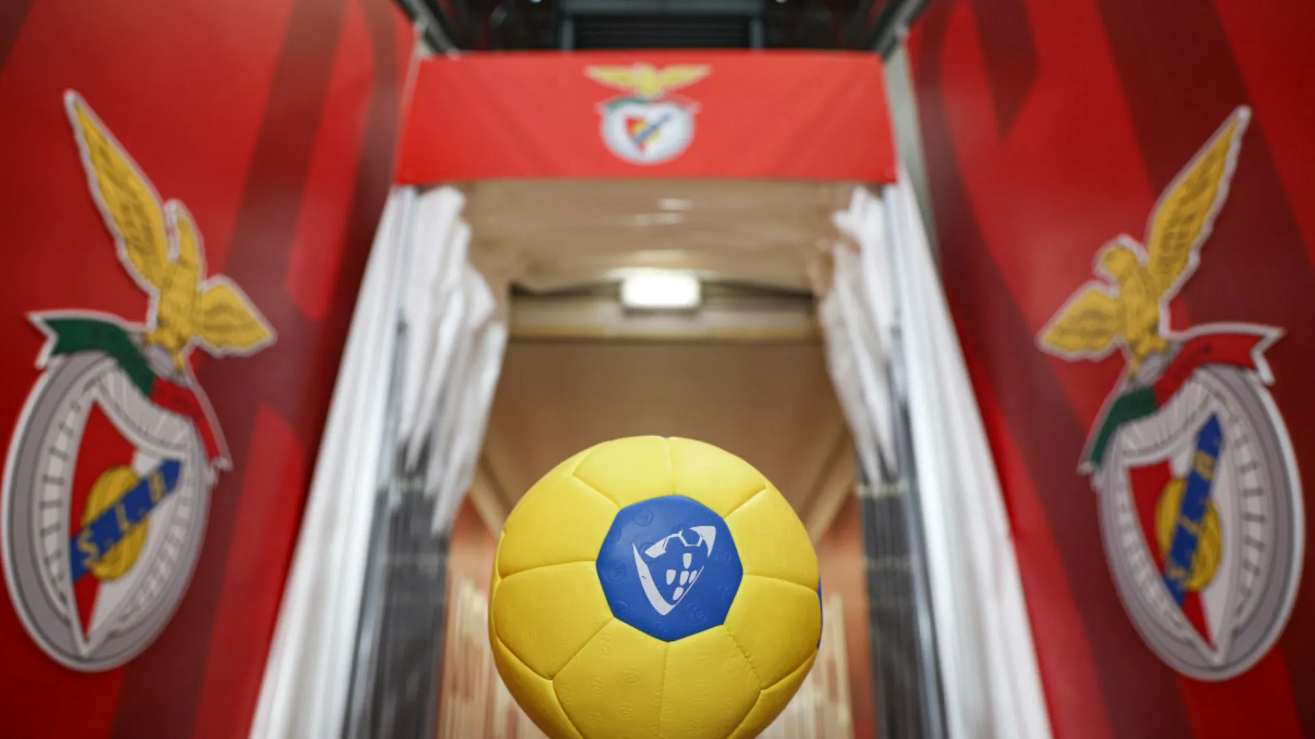 
                    Arrasador. Avanca acusa Benfica de tentar ganhar jogo na secretaria
                