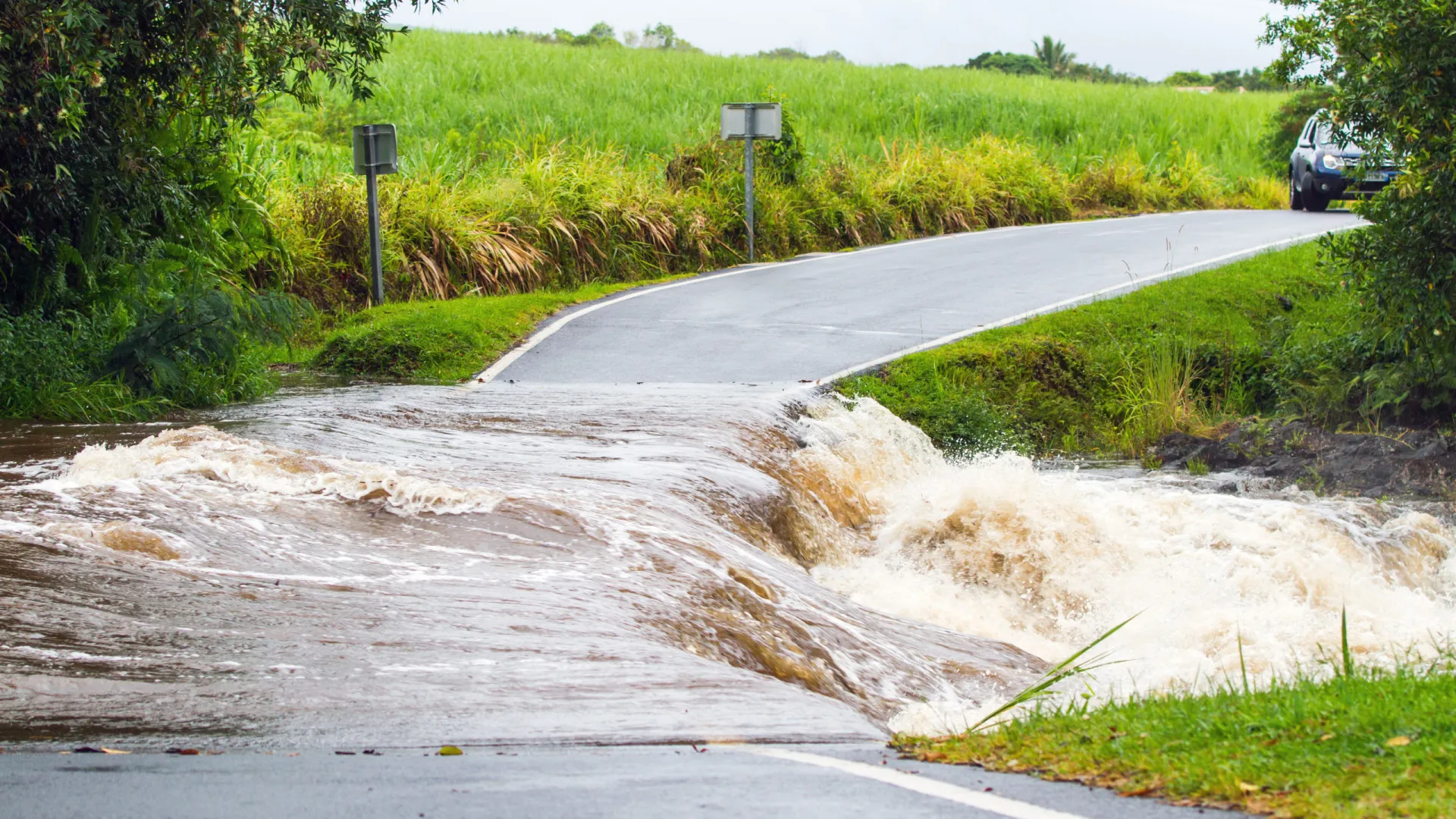 
                    Passar em estrada cortada pode custar caro. Saiba quanto
                