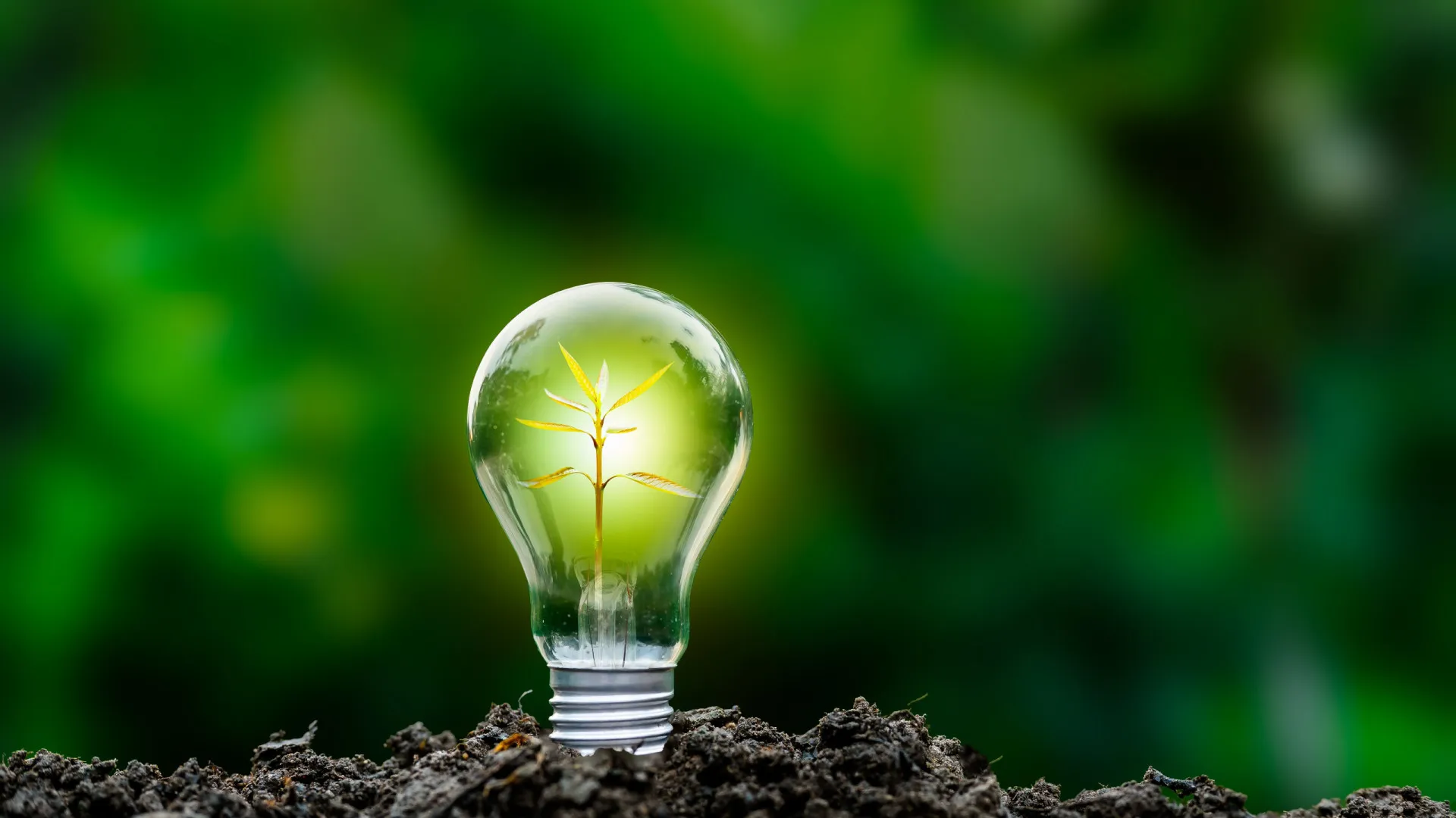 
                    Oportunidades batem à porta. Os 3 signos do zodíaco cheios de sorte
                