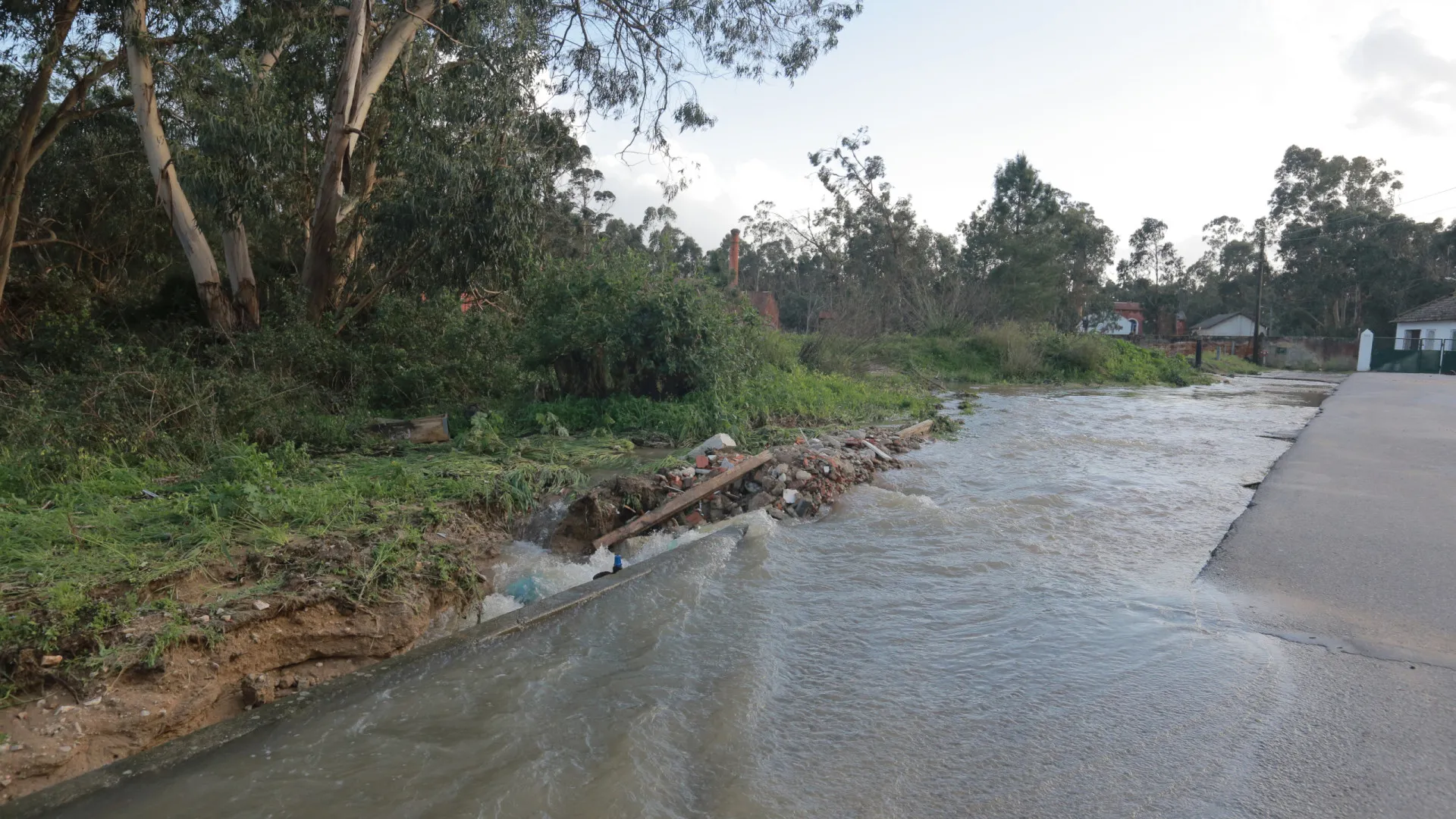 Distrito de Aveiro com 63 estradas interditas ou condicionadas