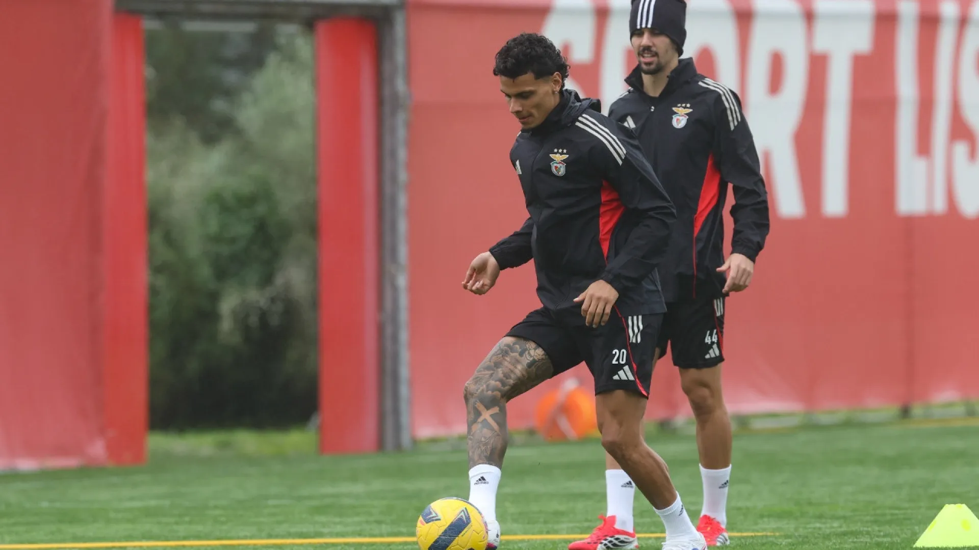 
                    Benfica volta aos treinos com duas novidades para preparar o Santa Clara
                