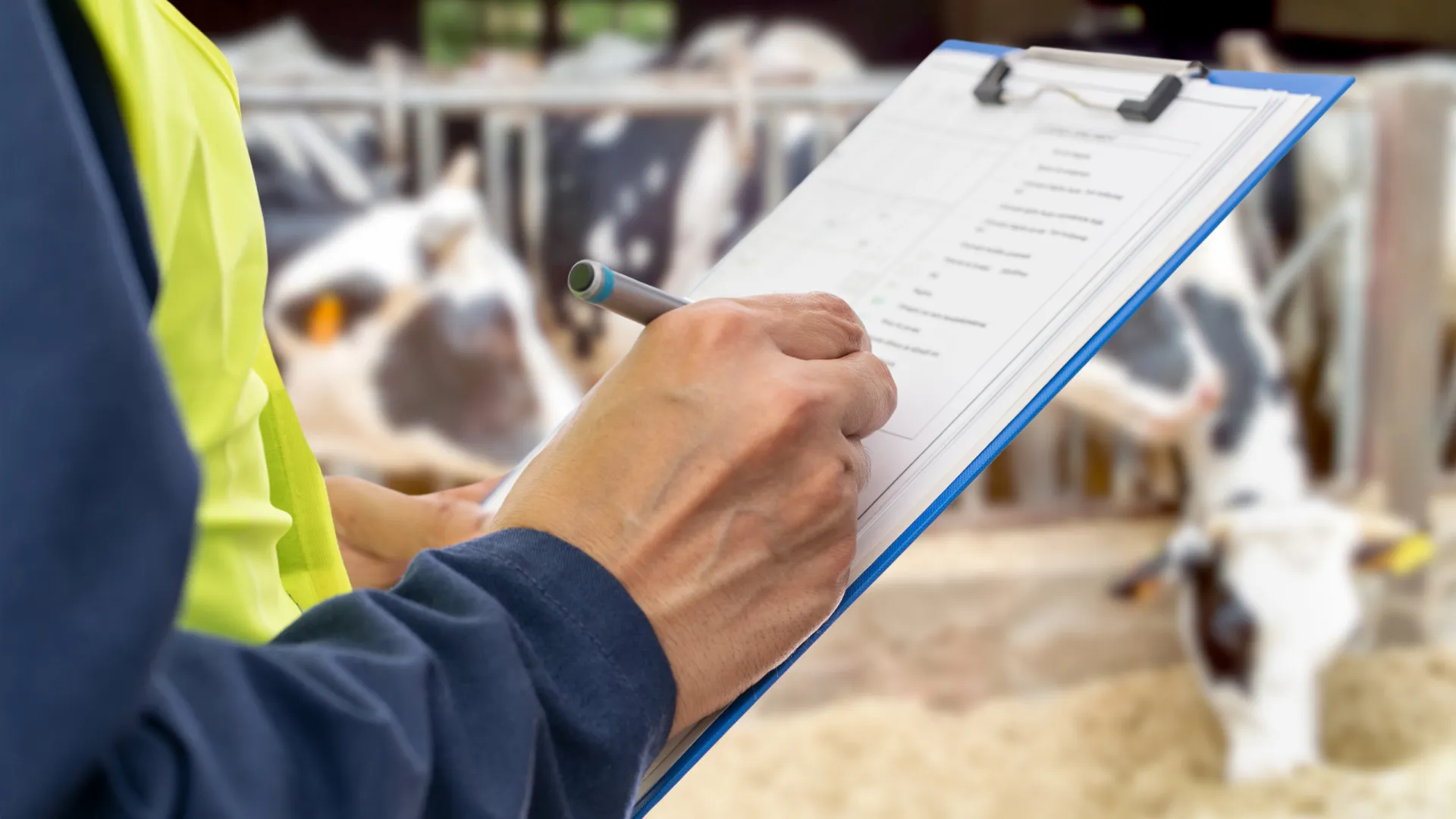 ACT está no terreno: Estas são as ações inspetivas nacionais de 2026