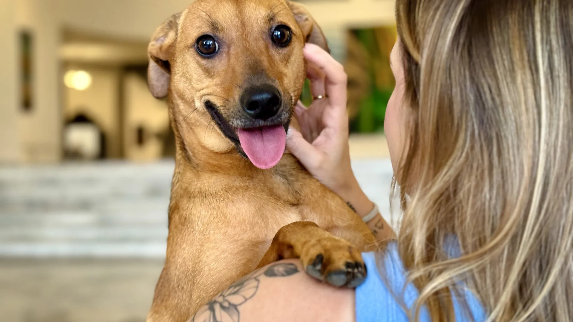 
                    Brasil: Bob Coveiro, que viveu 10 anos junto à campa da dona, inspira lei
                