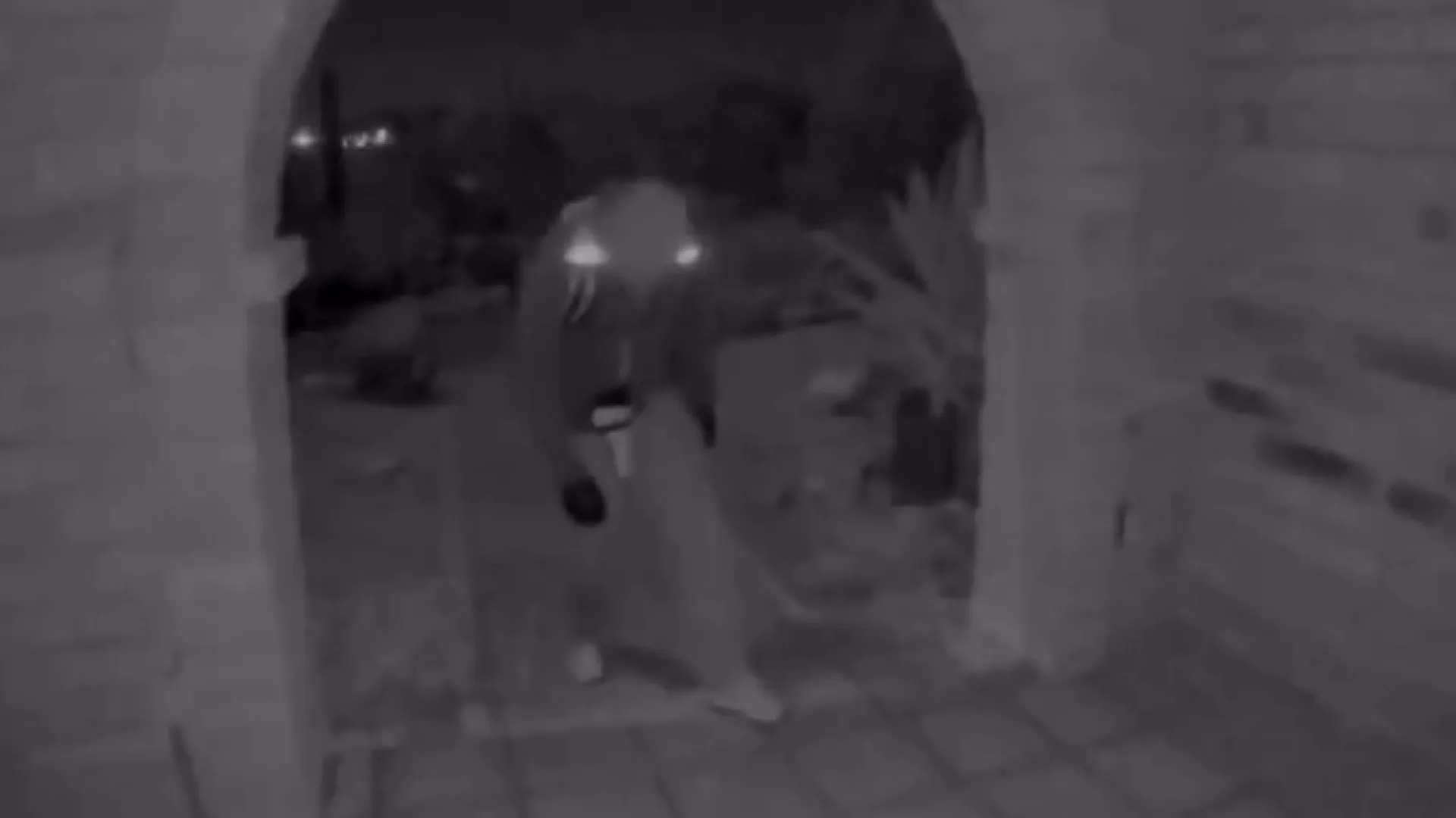 Nancy Guthrie: FBI divulga novos detalhes de suspeito e sobe recompensa