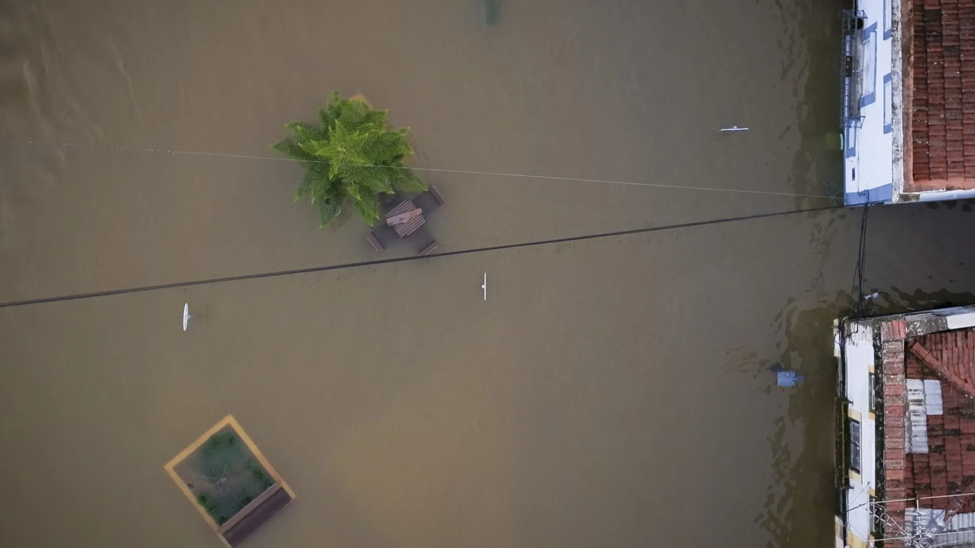 
                    Caudais no Tejo mantêm-se altos mas com tendência a descer
                