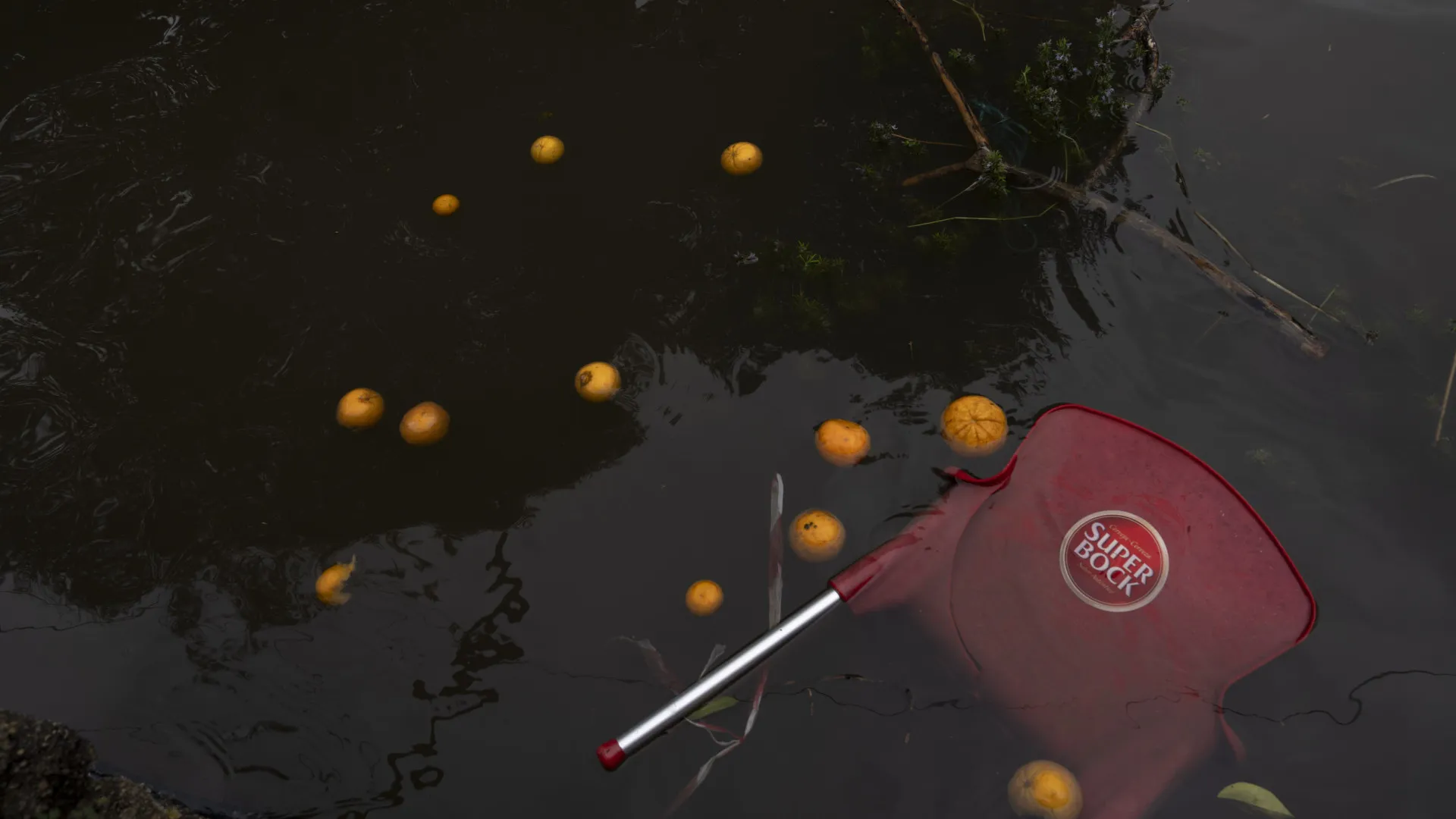 
                    Distrito de Aveiro mantém 35 estradas interditas ou condicionadas
                