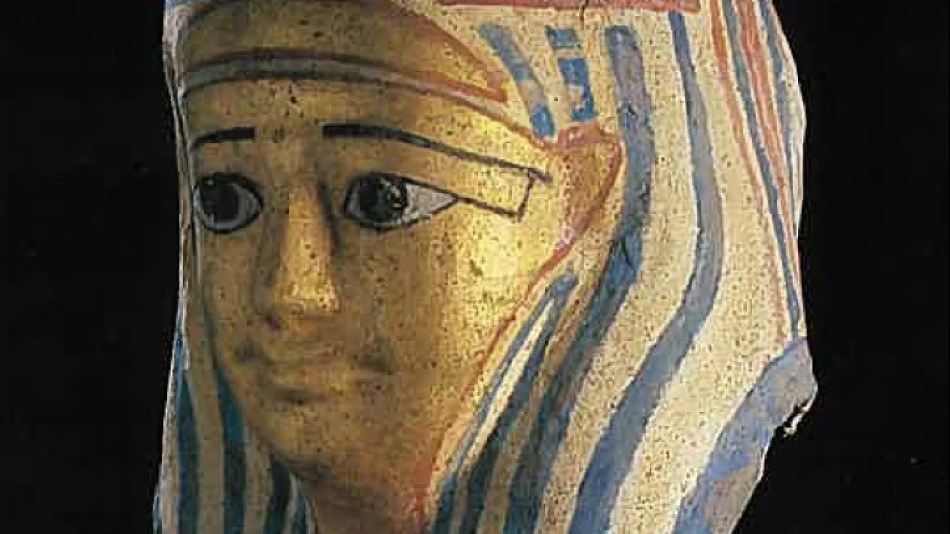 
                    Austrália: Detido após furtar 