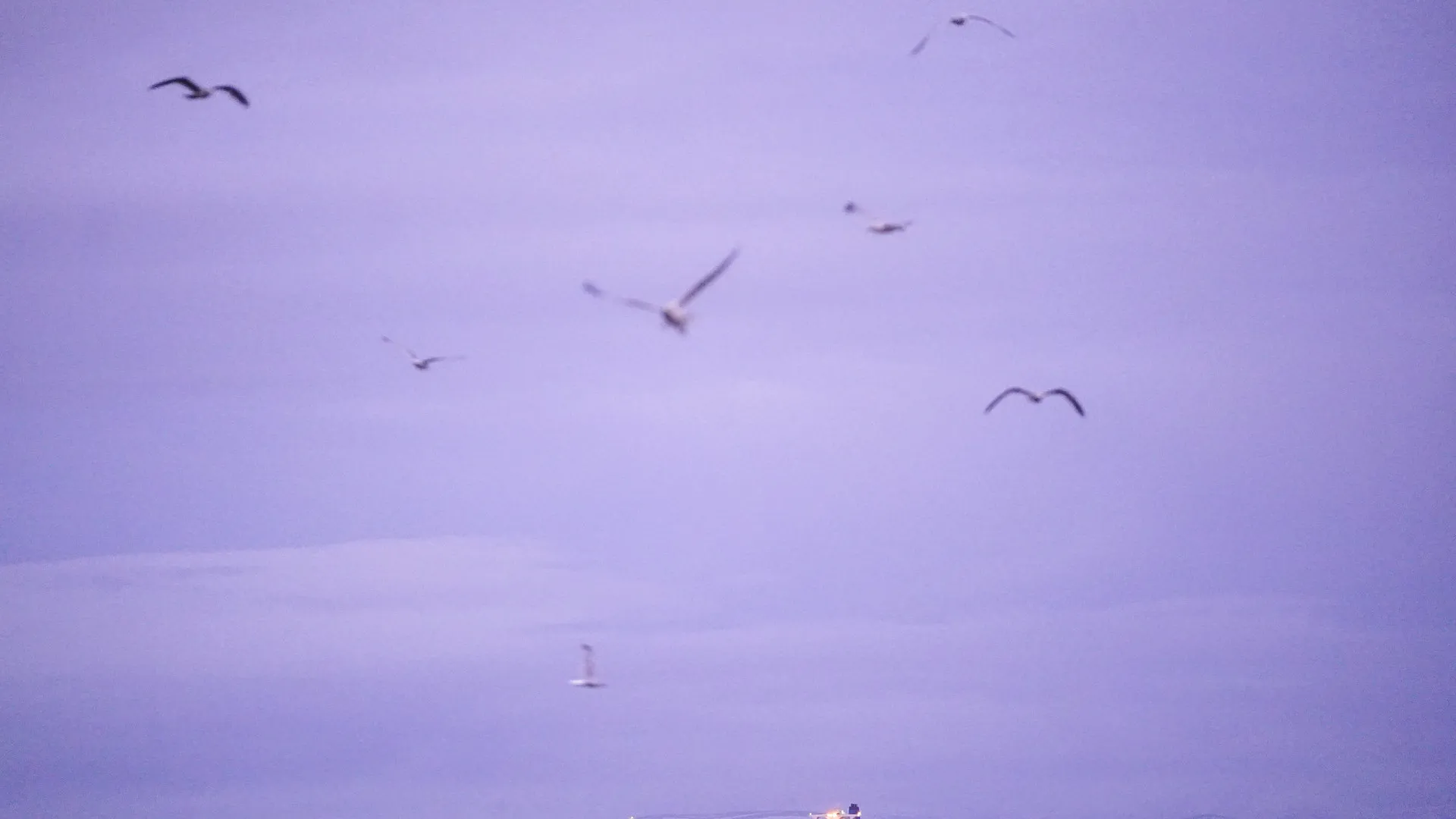 
                    EUA intercetam petroleiro sancionado no Oceano Índico
                