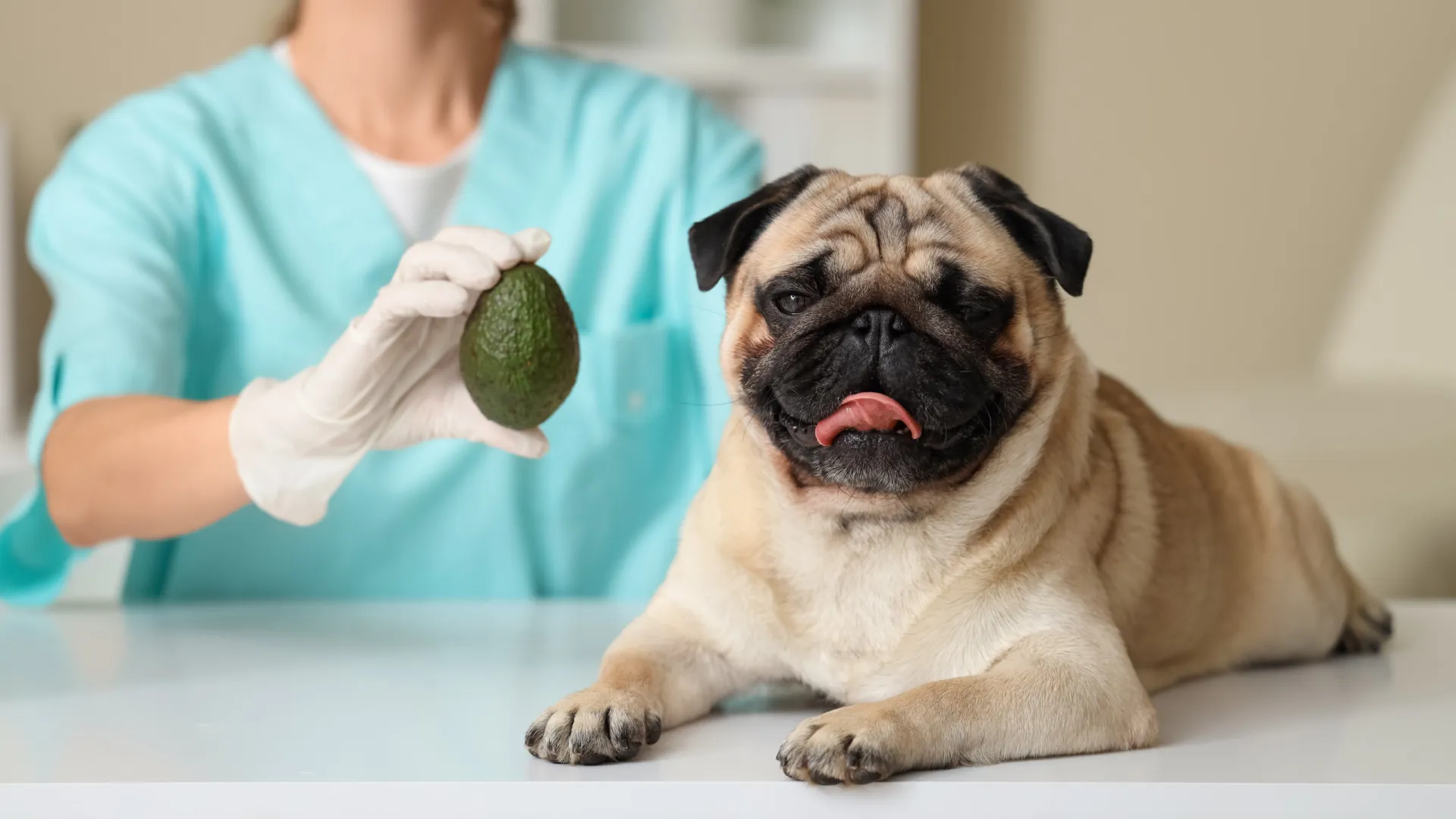 
                    Atenção! Oito alimentos 