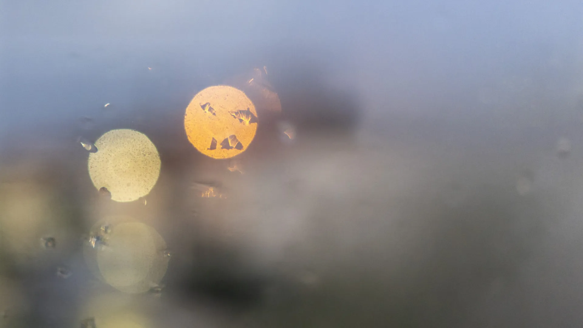 
                    Azambuja desconhecia barragem que obrigou à evacuação de aldeias
                