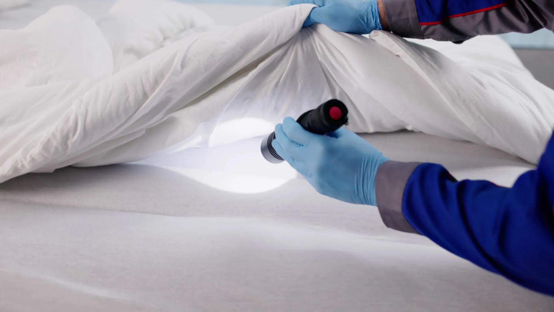 
                    Como lidar com uma infestação de percevejos (e evitá-los na sua cama)
                