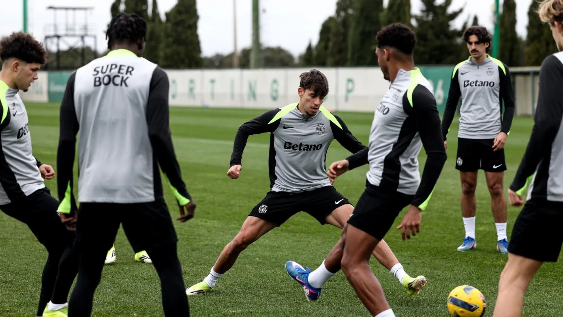 
                    Sporting começa a preparar visita ao Moreirense com quatro 'reforços'
                