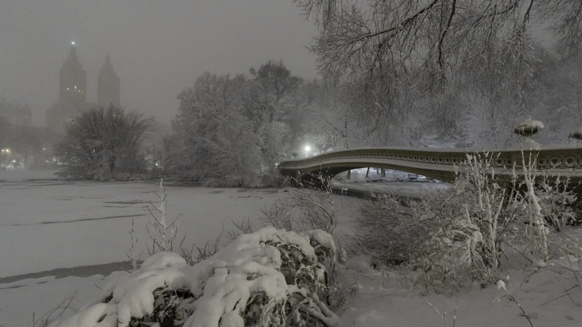 
                    Nova Iorque está coberta de neve e deserta. Vem aí maior nevão da década
                