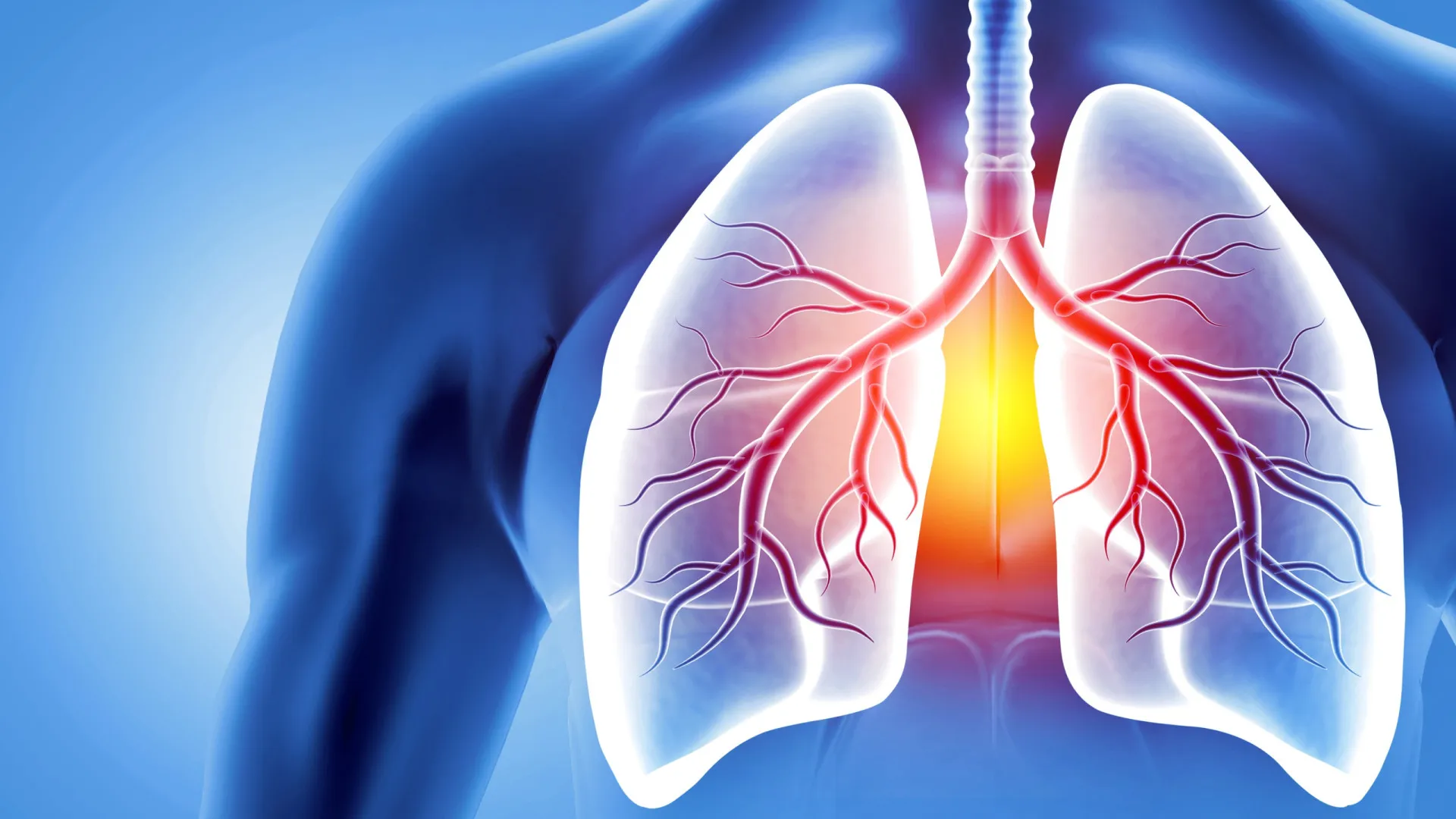 
                    Estudo. Falta de uma proteína pode explicar algumas doenças respiratórias
                
