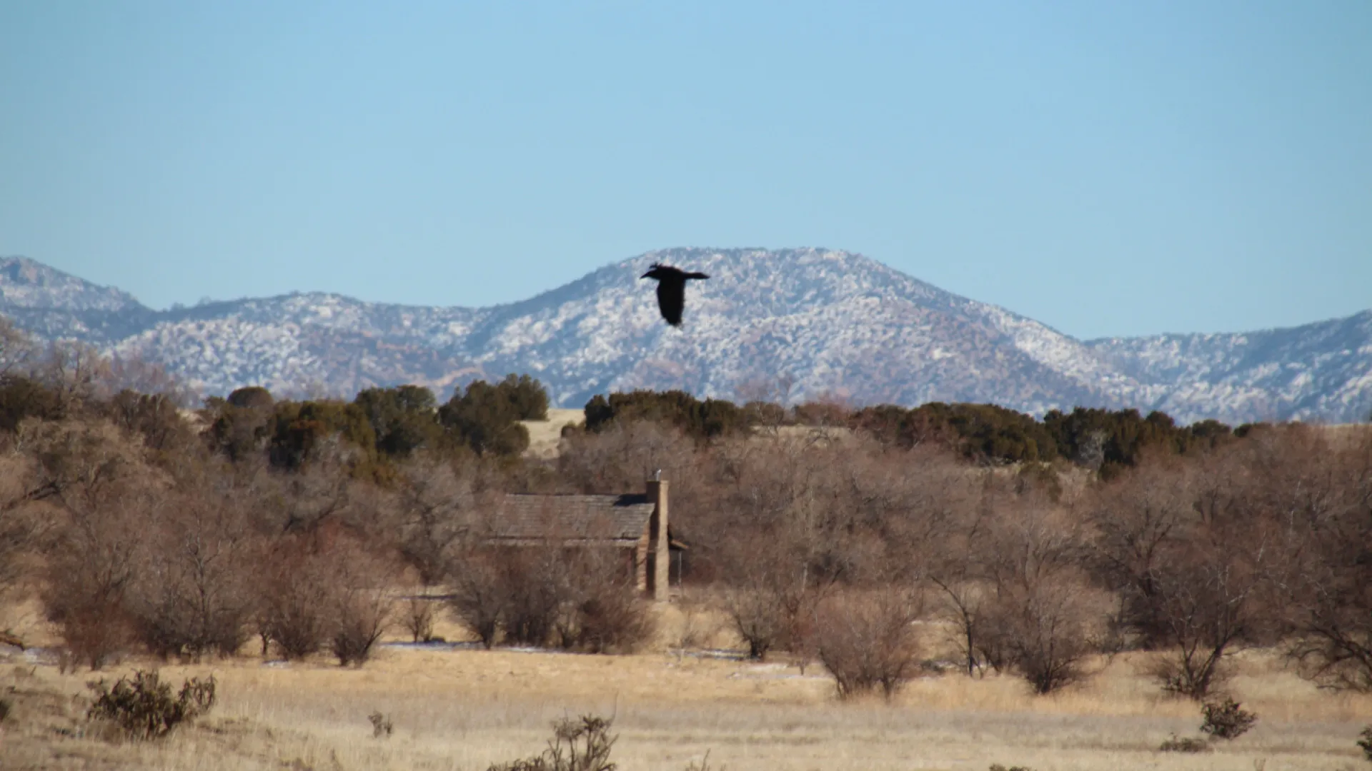 
                    Kid Nation, um programa infantil que gerou controvérsia em 2007. Entenda
                