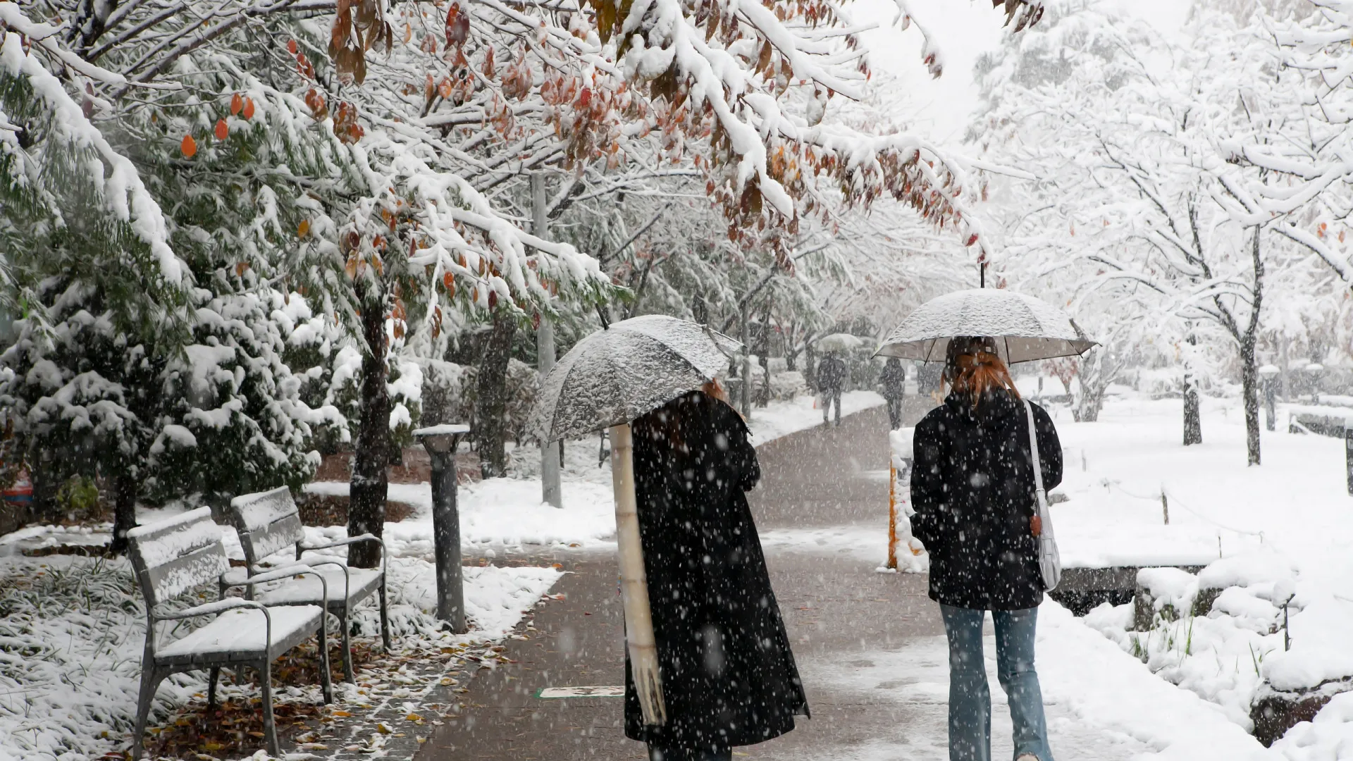 
                    Andou uma vida toda enganado! Afinal, a neve não é branca
                