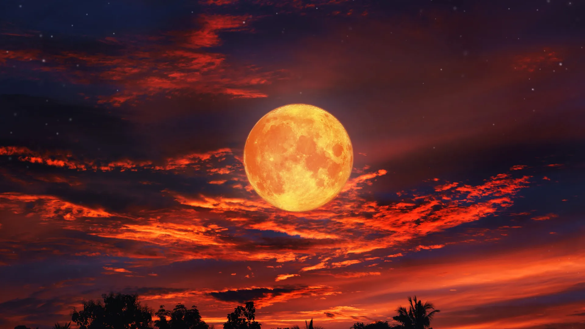 
                    Vem aí o pior dia do ano e traz uma Lua de Sangue, avisa Márcia Sensitiva
                