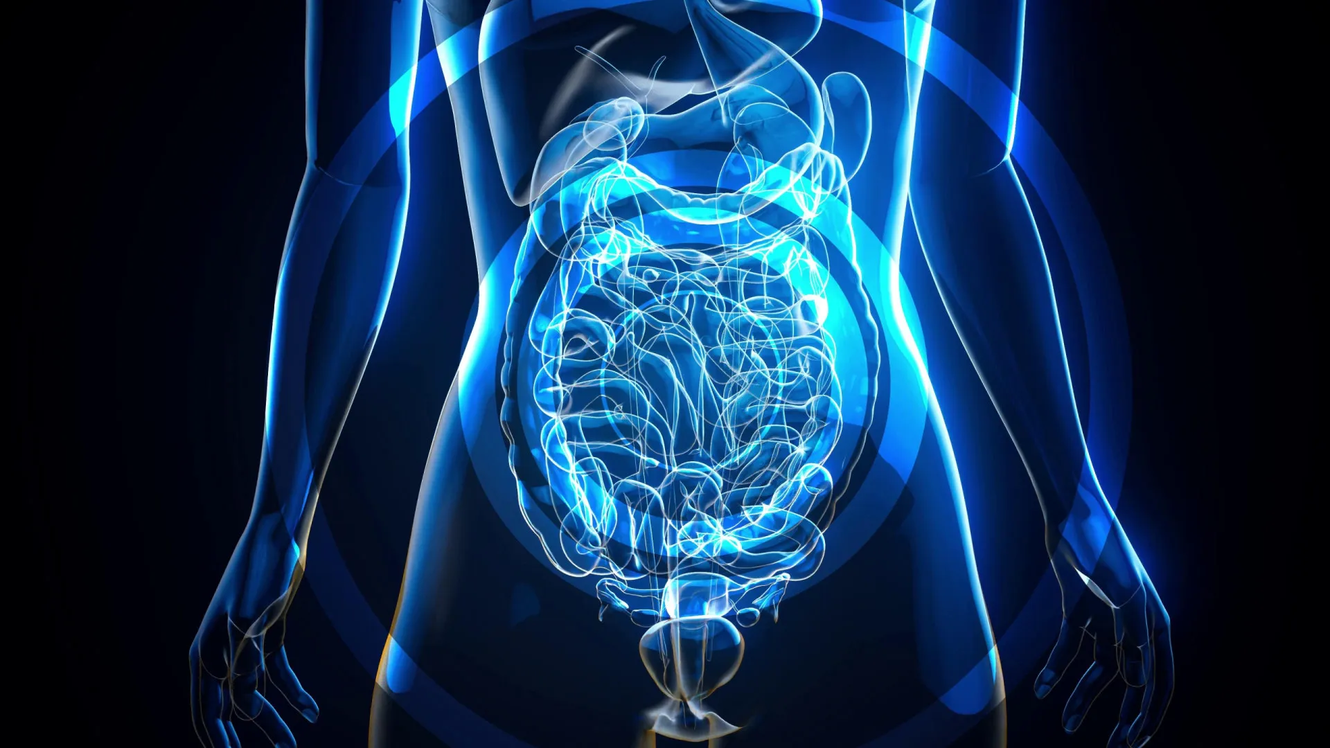 
                    Estudo sobre papel de microbioma no cancro vence Prémio Bial
                