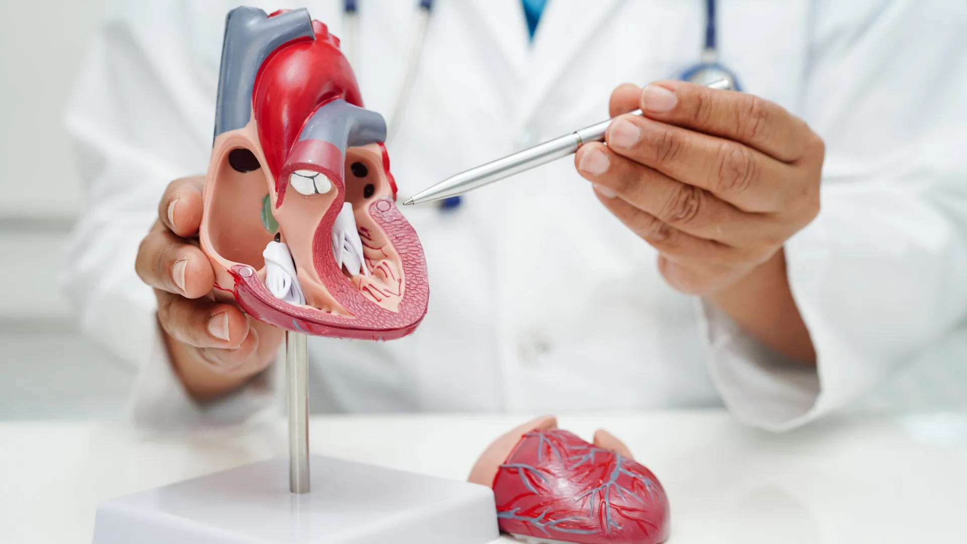 
                    Comece hoje! 5 hábitos saudáveis para o coração que os médicos recomendam
                