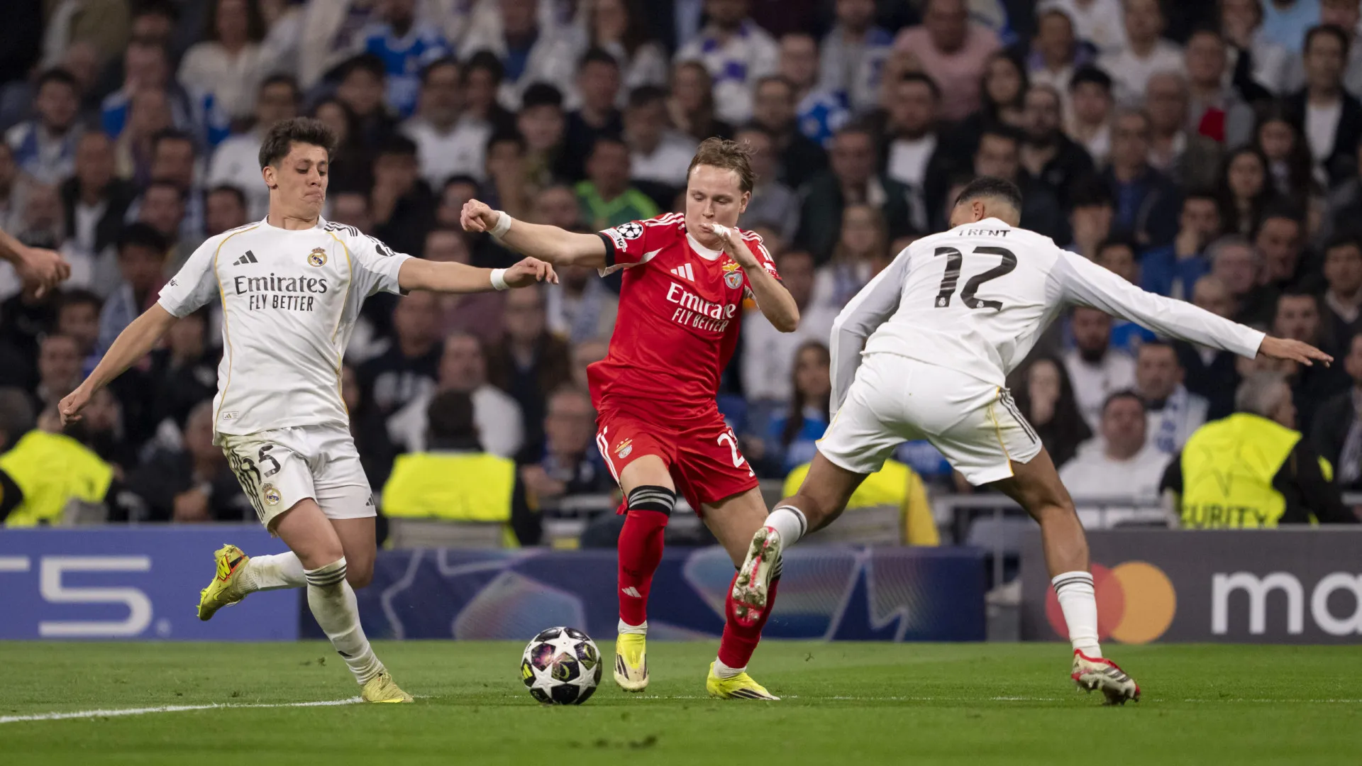 
                    Schjelderup e a eliminação: 