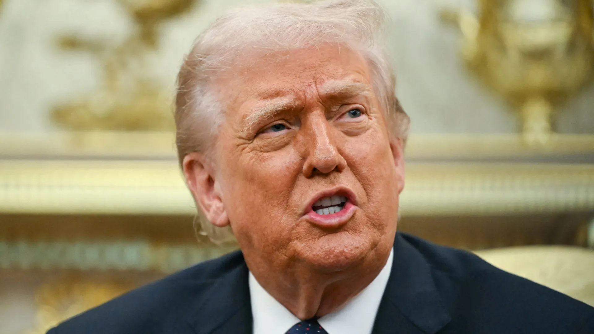 
                    Trump está a avaliar 