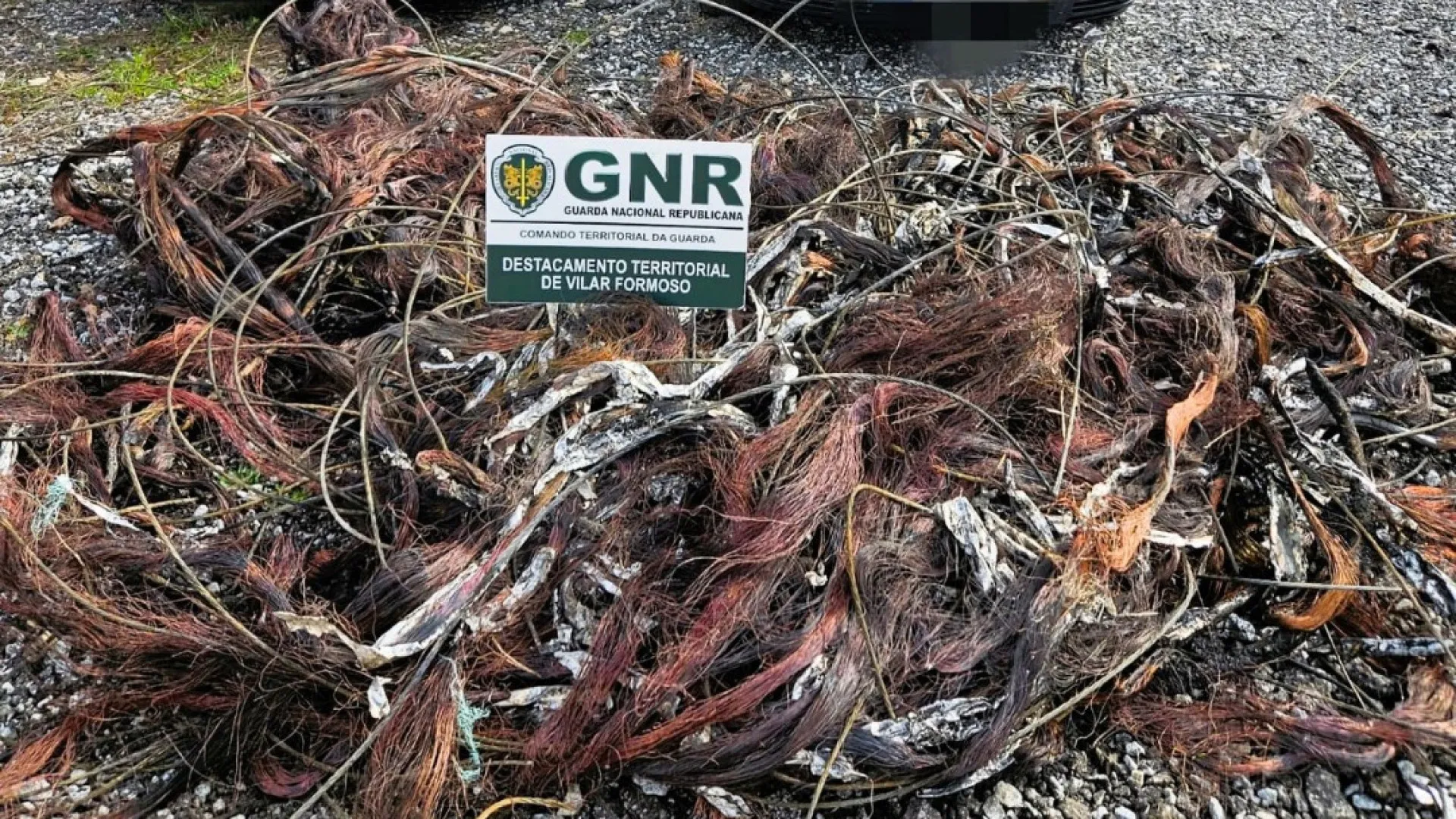 
                    GNR apreende 548 quilos de cobre furtado em Almeida. Há duas detidas 
                