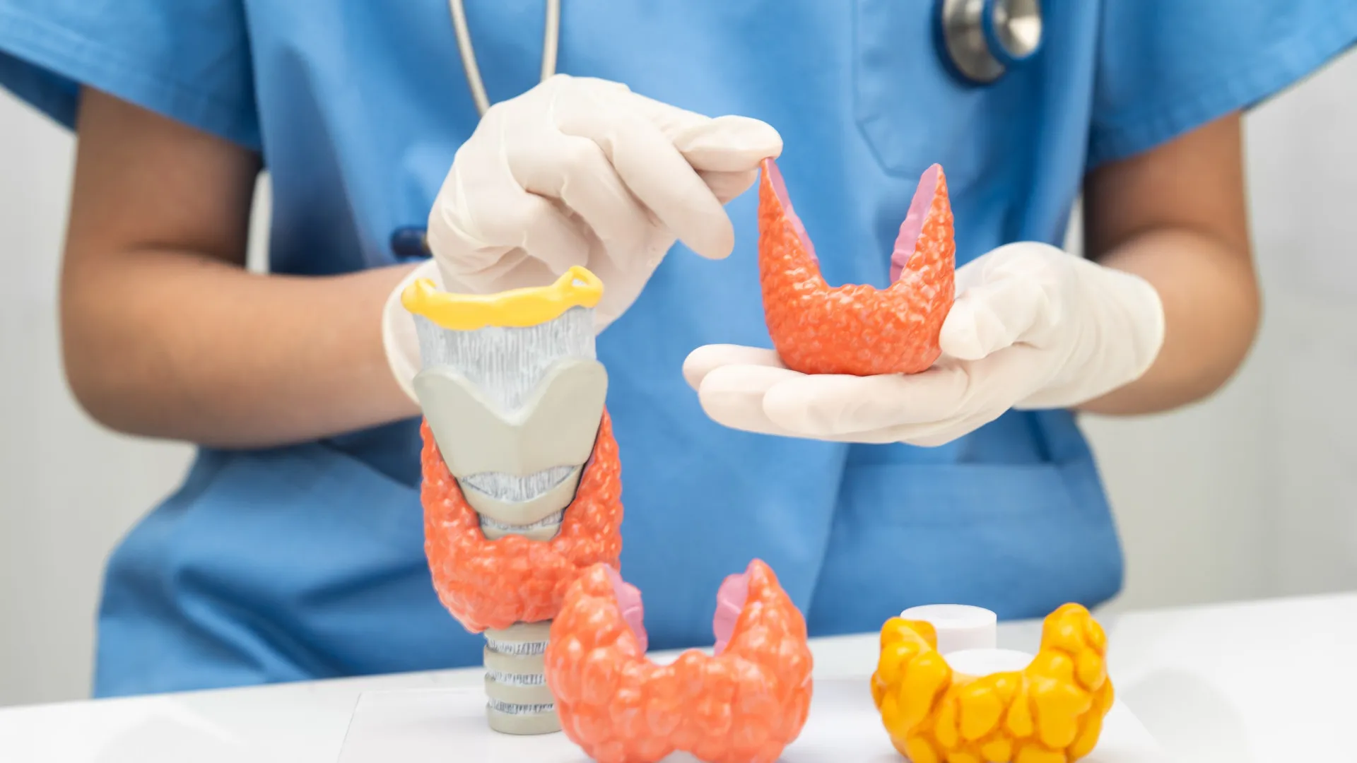 
                    Os hábitos que mais prejudicam a tiroide, alerta endocrinologista
                