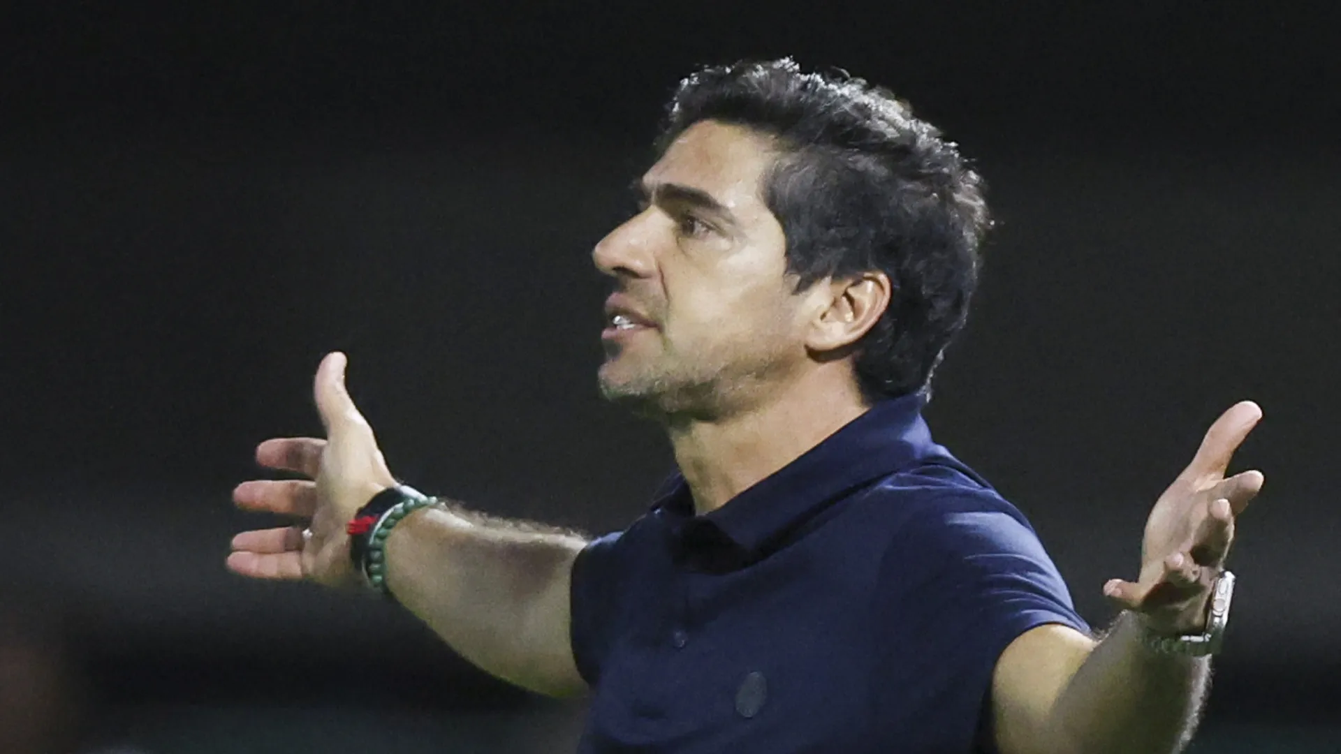 Abel Ferreira e Luís Castro vão 'do céu ao inferno' no Brasileirão