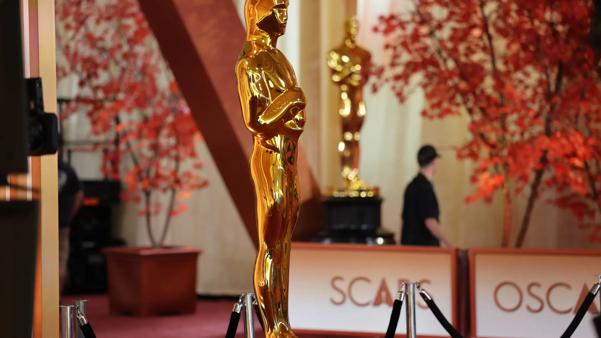 
                    É noite dos Óscares! 