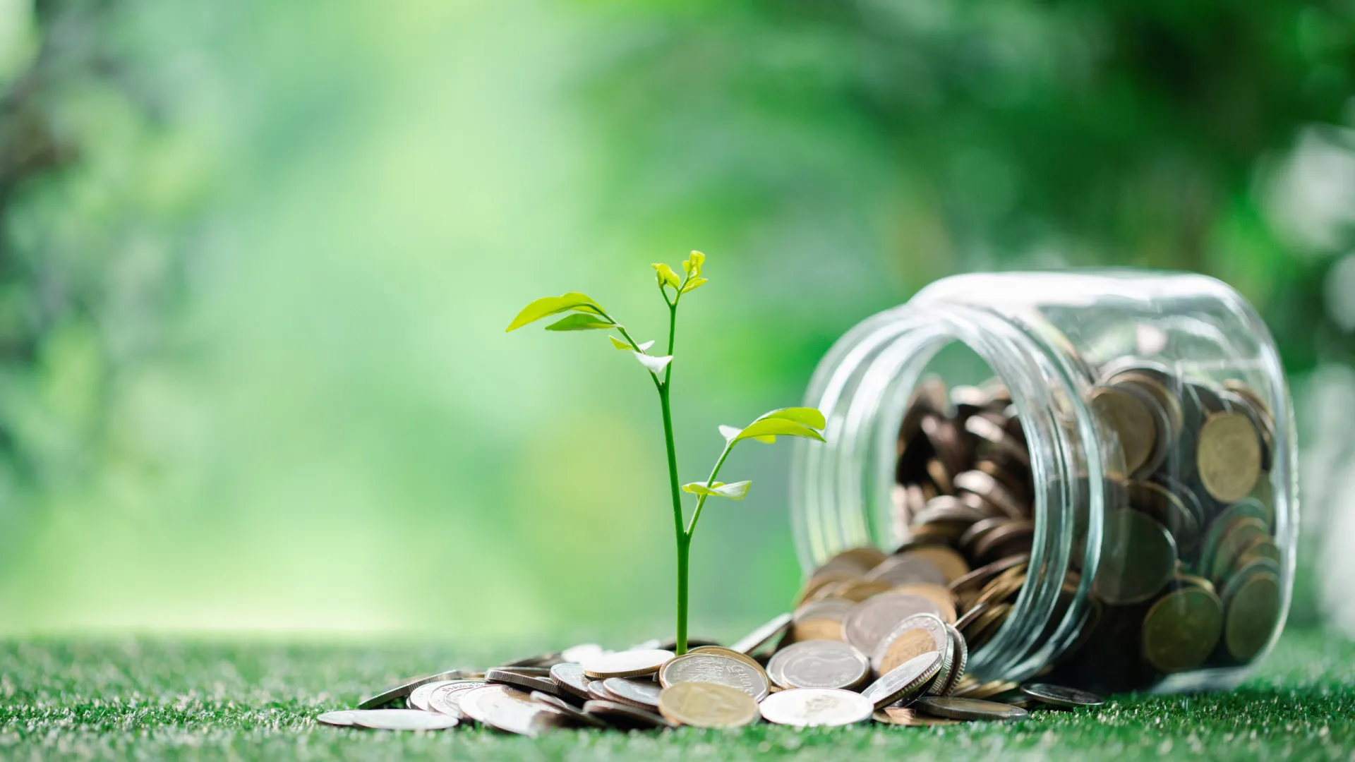 
                    Sorte e prosperidade. Os 3 signos com uma semana de fazer inveja
                