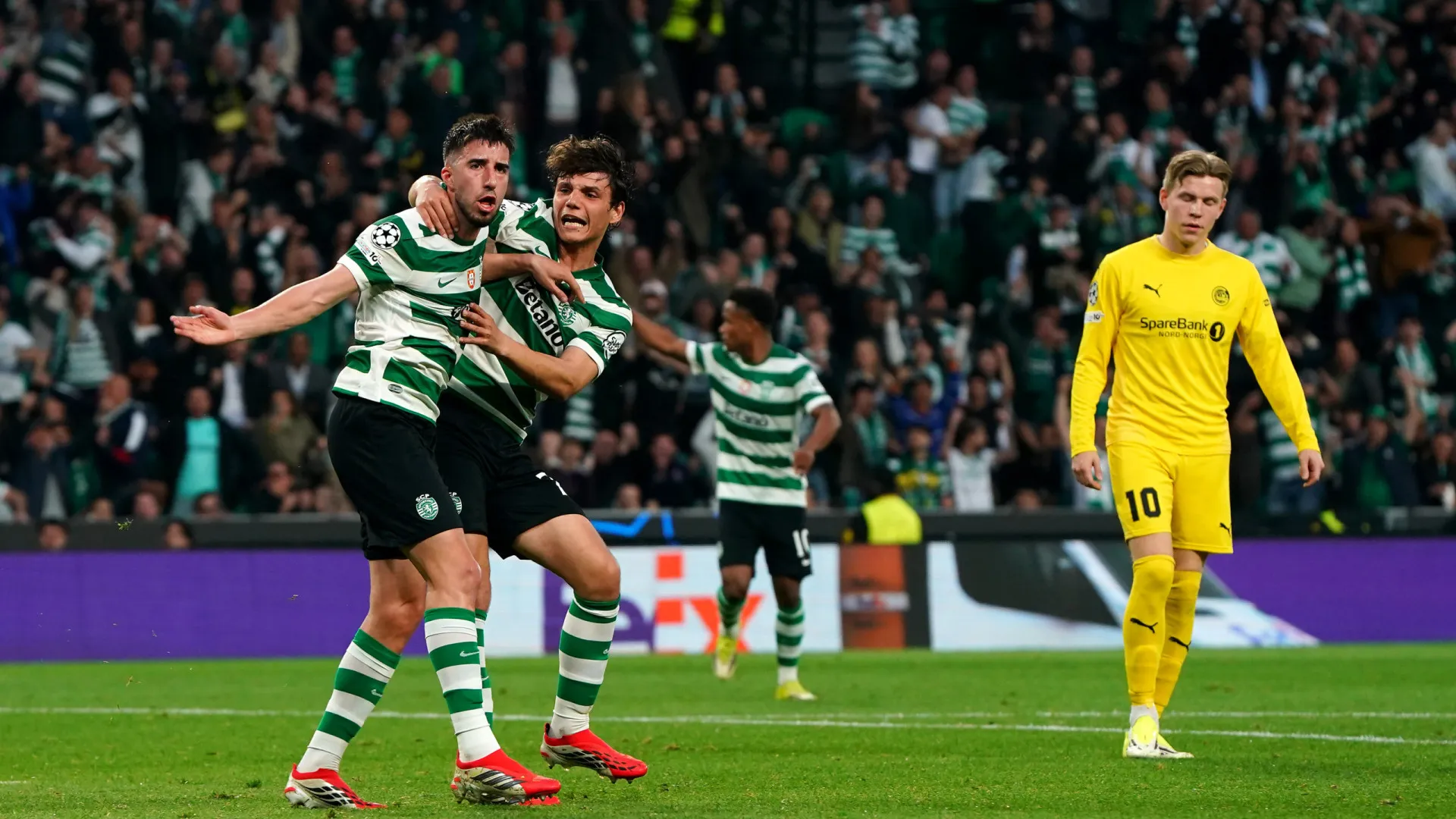 EM DIRETO: Sporting já vence Bodo/Glimt ao intervalo
