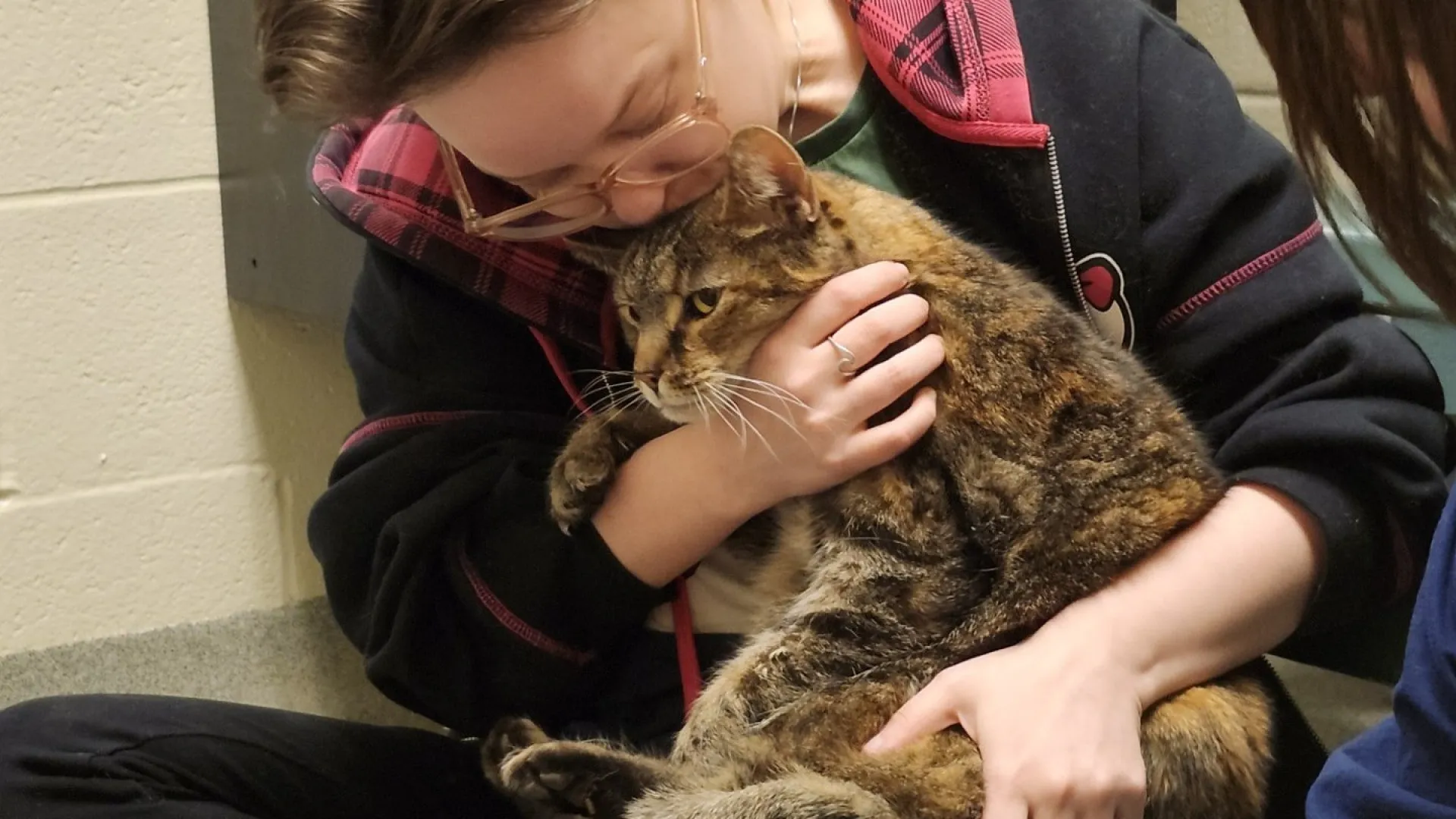 
                    Demorou 5 anos, mas gata 