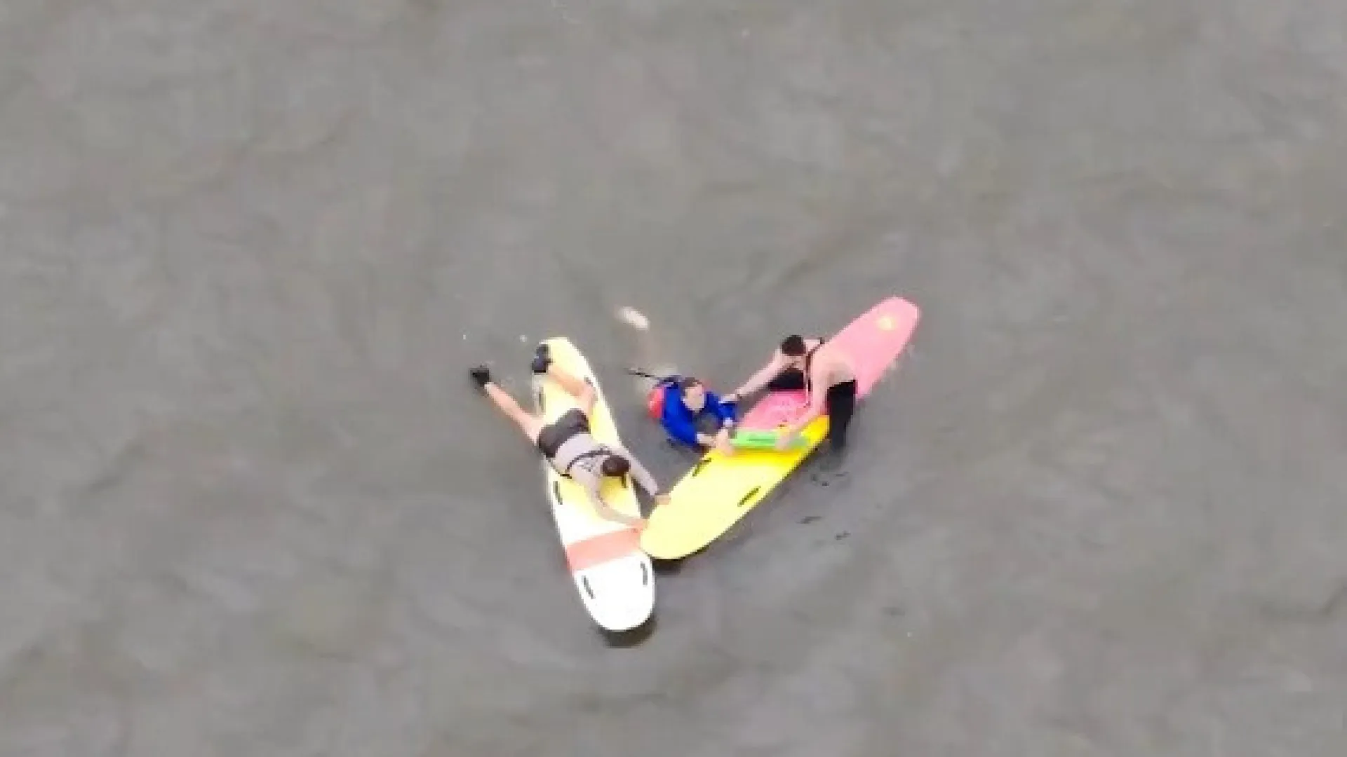 
                    Atira-se a rio para fugir à polícia. Foi detido por agentes em pranchas
                