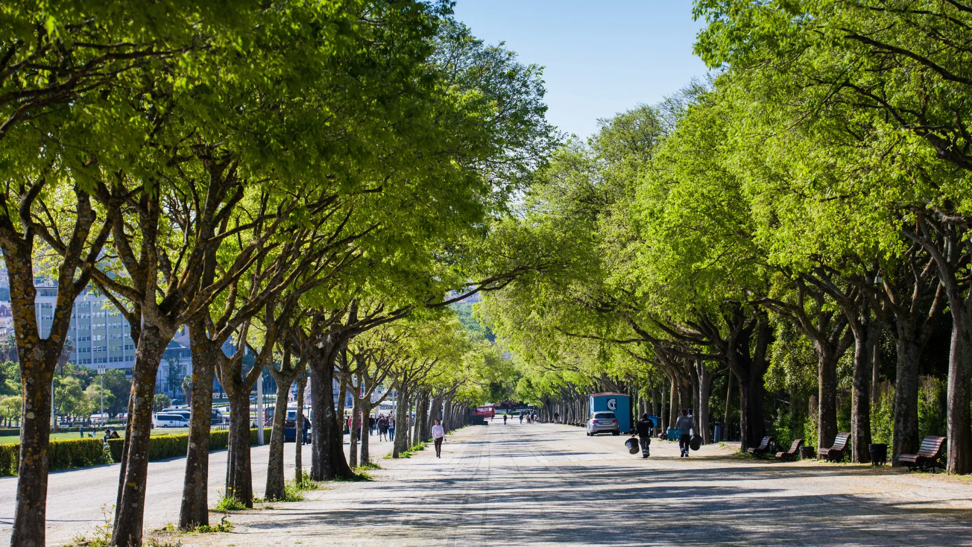 
                    Finalmente, primavera! Semana terá temperaturas a chegar aos 24ºC
                