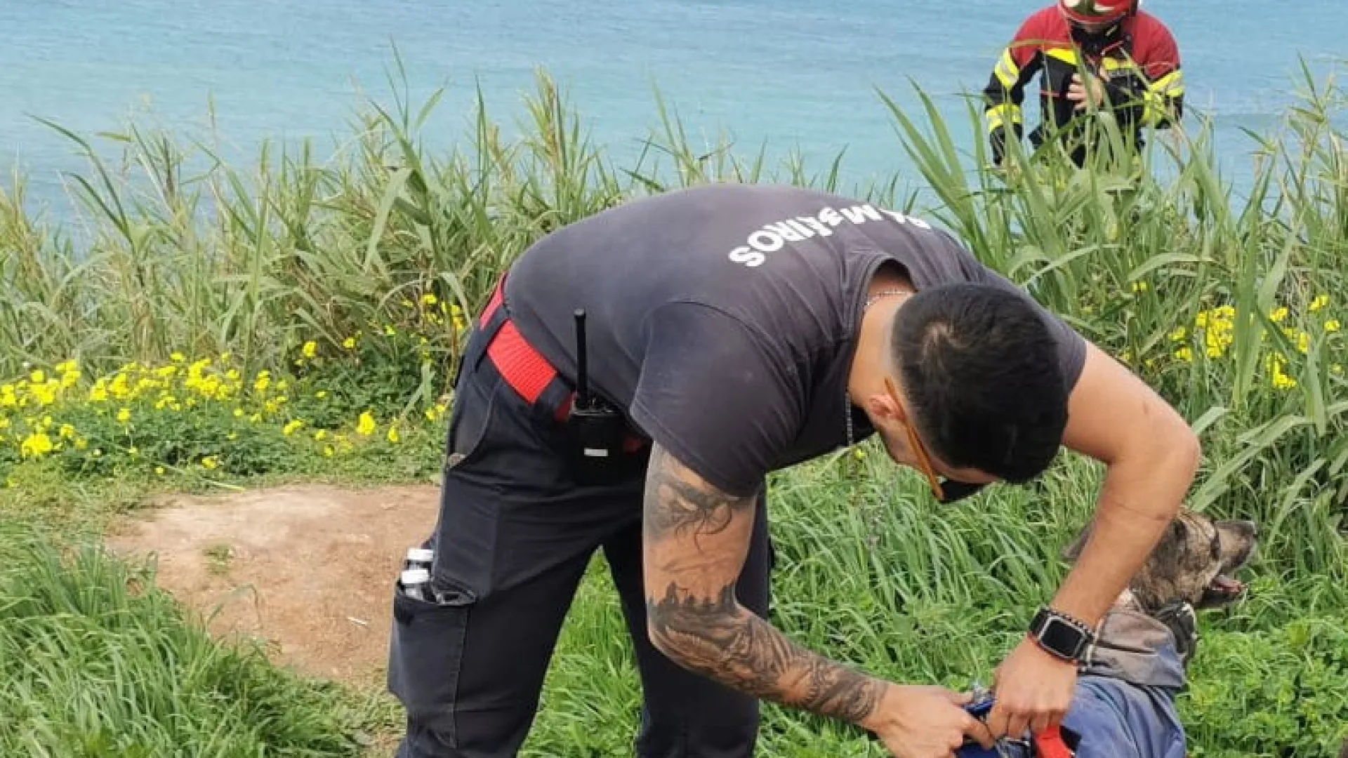 
                    Cão salvo após ficar preso em arriba da Lourinhã
                