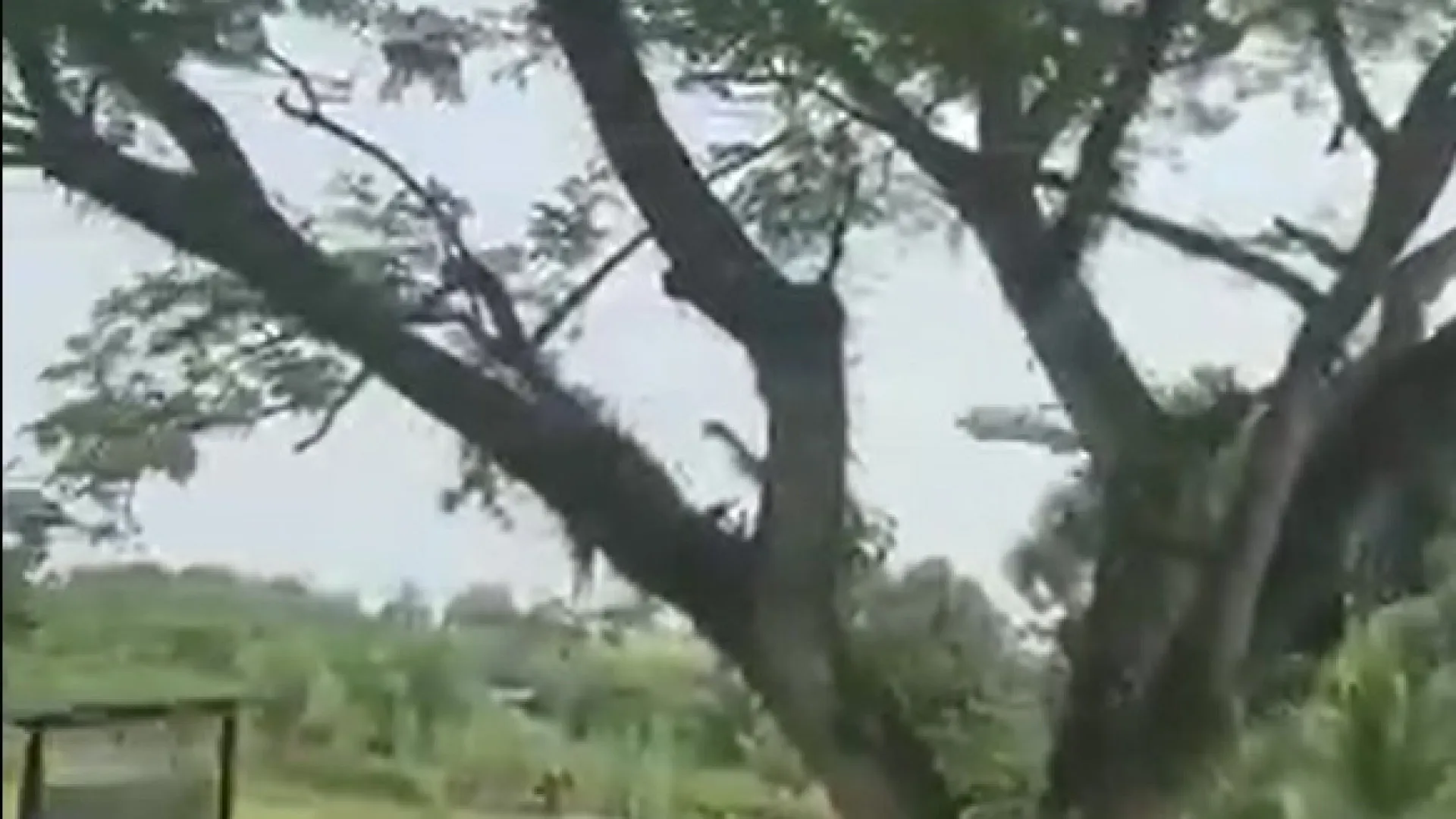 O momento em que avião da Força Aérea da Colômbia se despenha