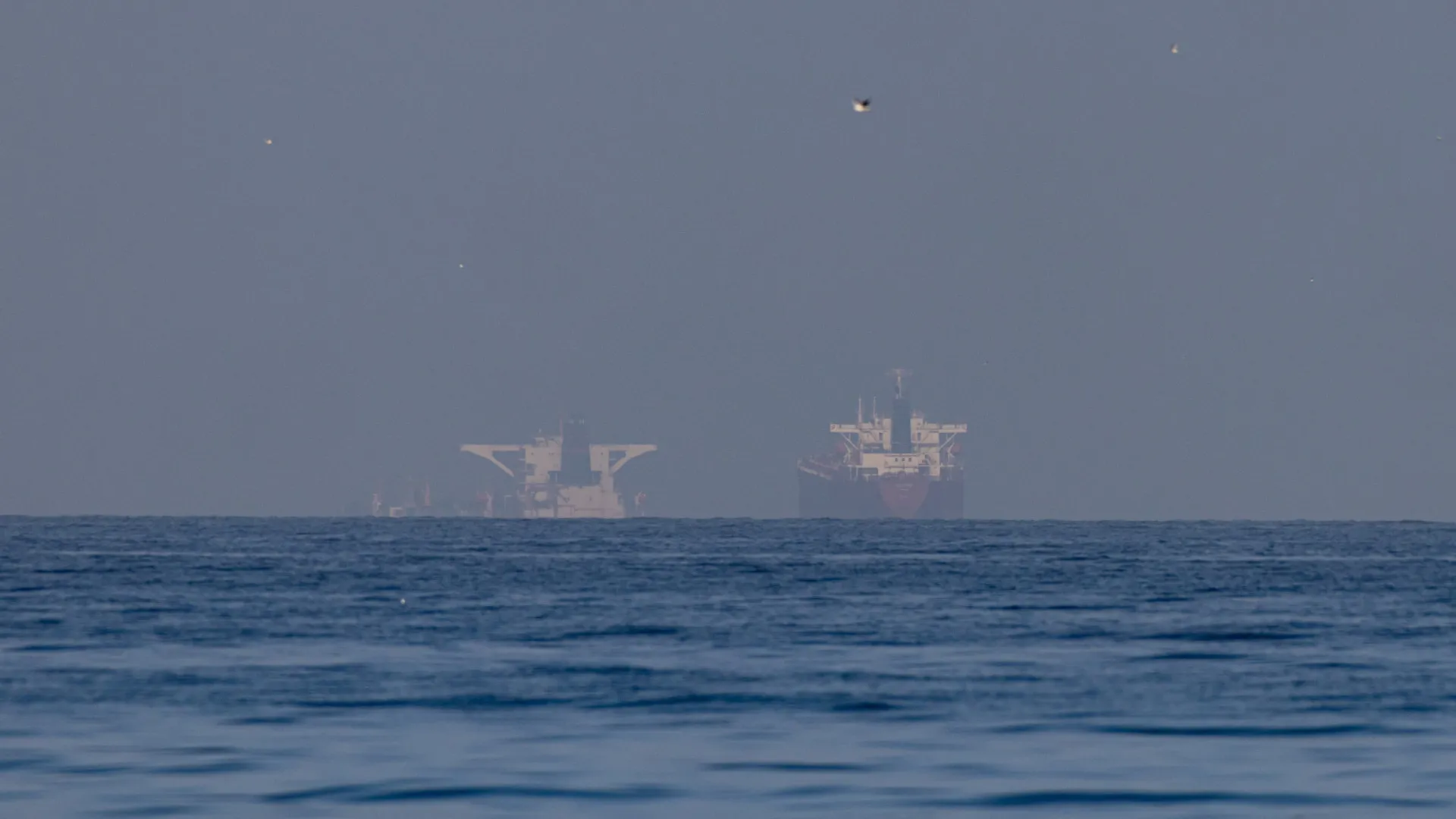 
                    Estreito de Ormuz. EAU ponderam reabrir passagem pela força com os EUA
                