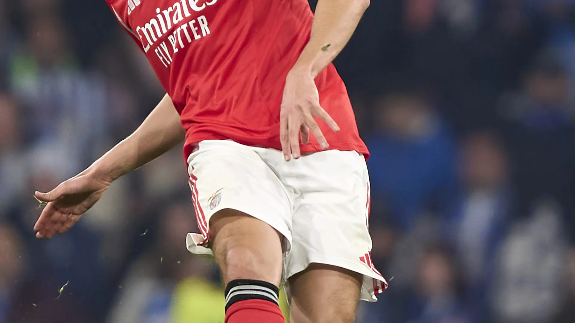 António Silva soma interessados e causa novo 'berbicacho' no Benfica