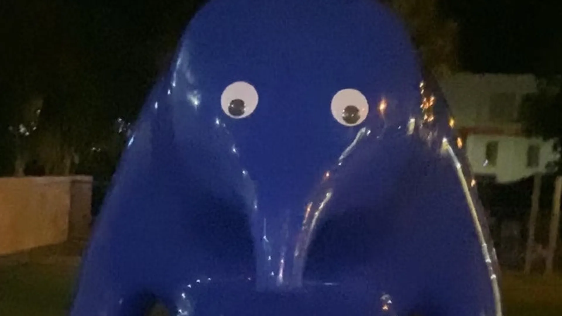 
                    Jovem condenada por colar olhos de plástico em escultura na Austrália
                